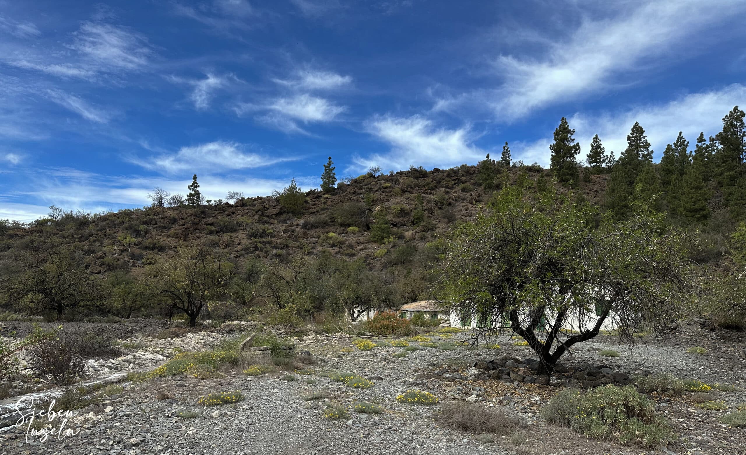 Galería Hoyo de la Leña