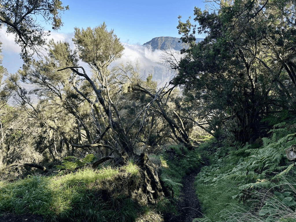 Ascent via La Frontera - Camino San Salvador