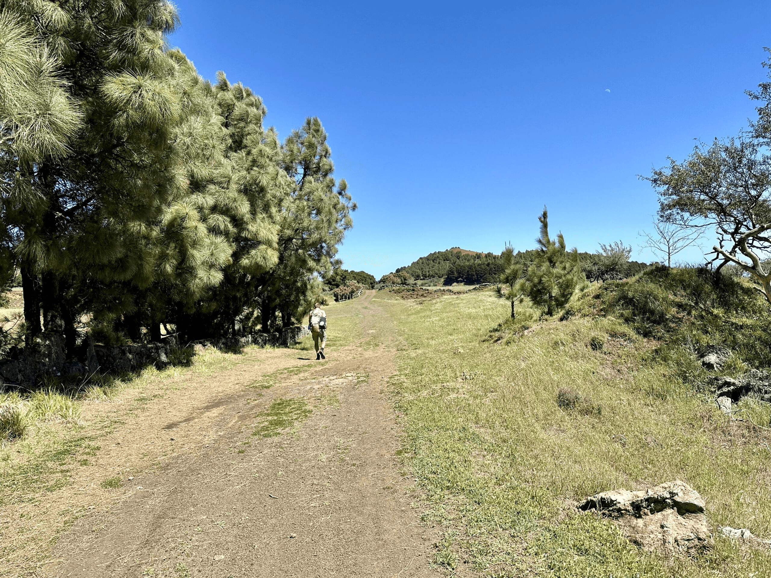 Back on the Cumbre on the GR-132 hiking trail towards San Andrés
