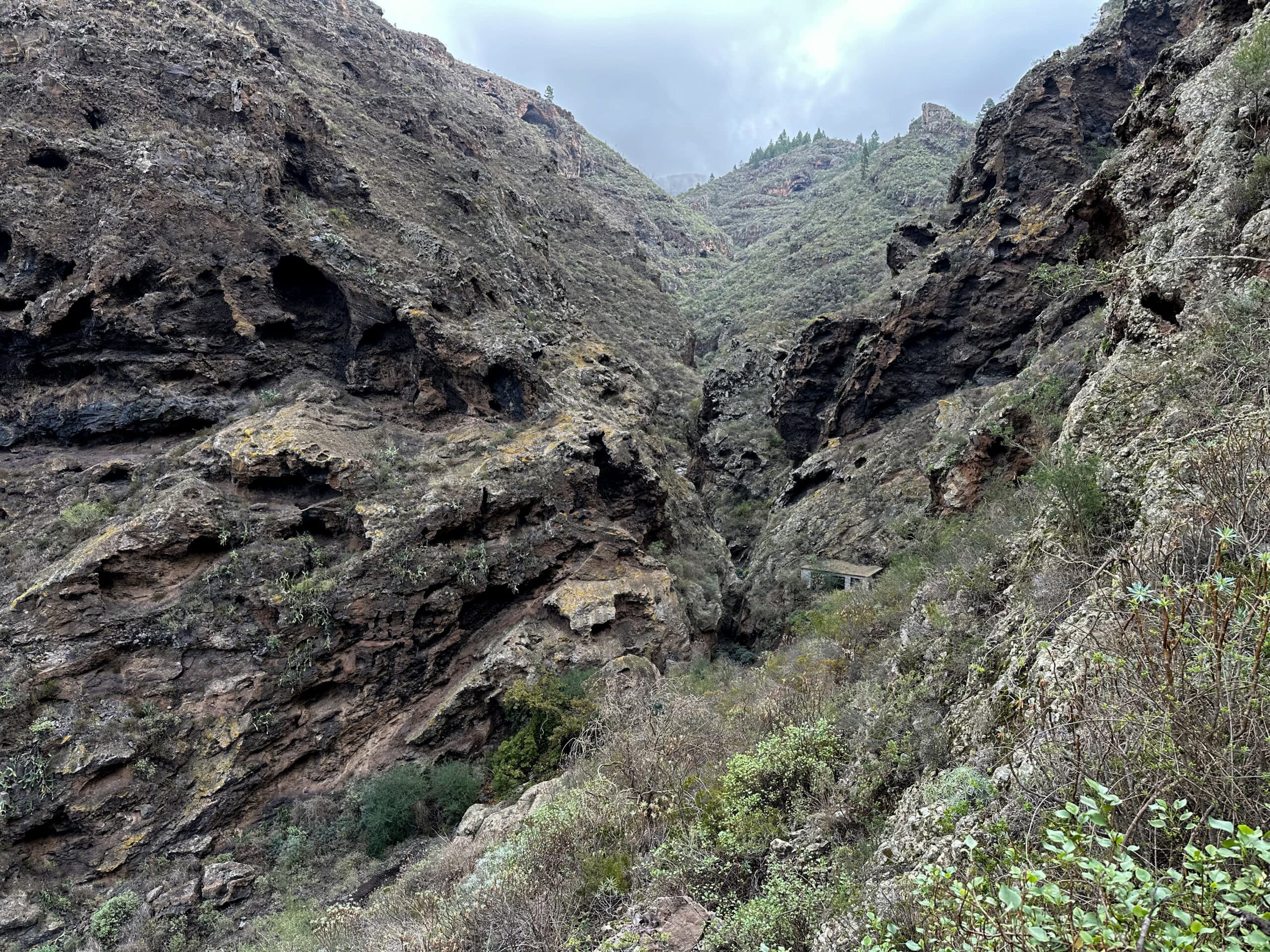 Vista desde el sendero de ascenso a la Montaña de Tejina de vuelta al Barranco Guaria con la Galería Fuente de Guía