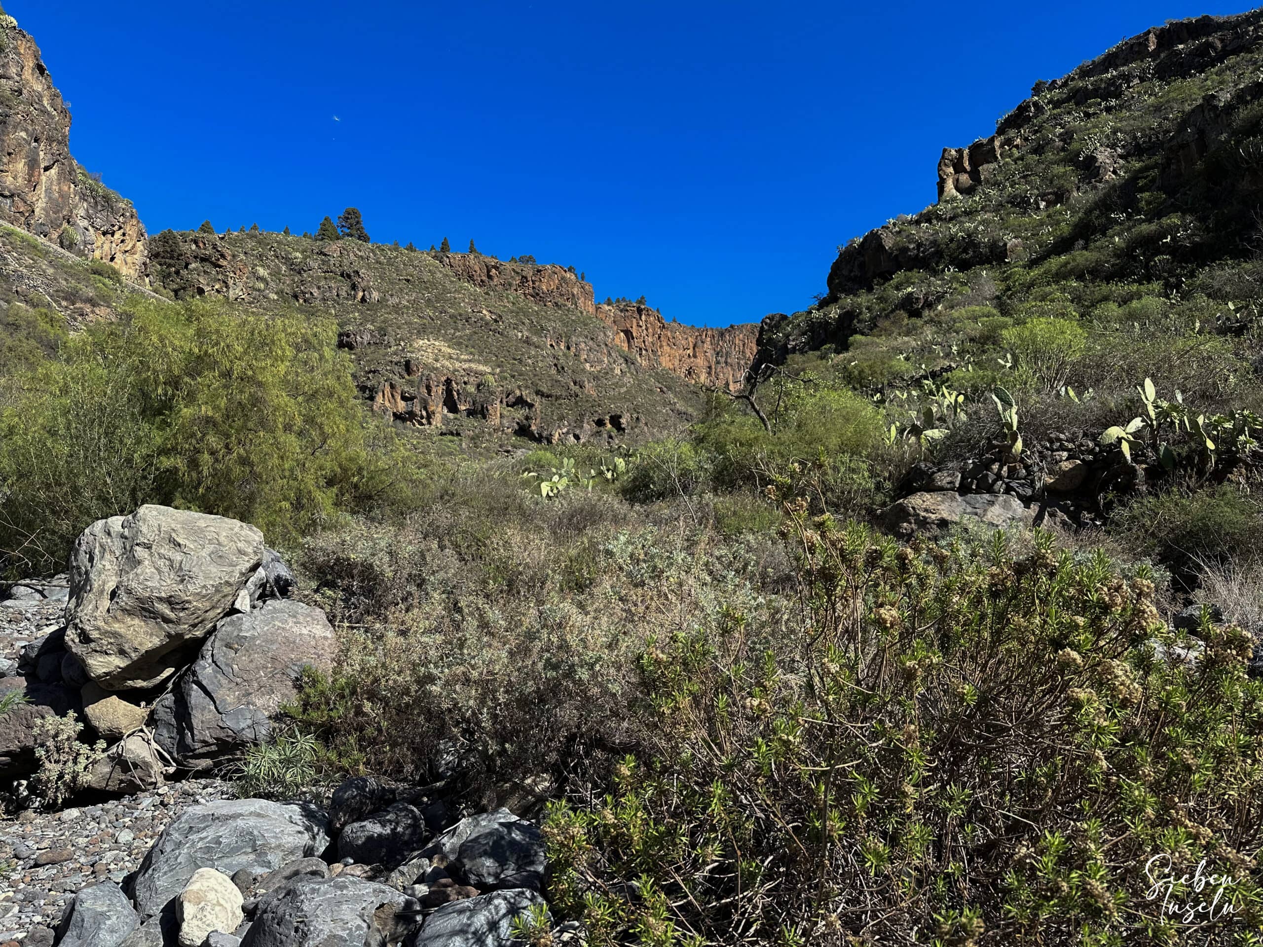 el salvaje Barranco Guaria