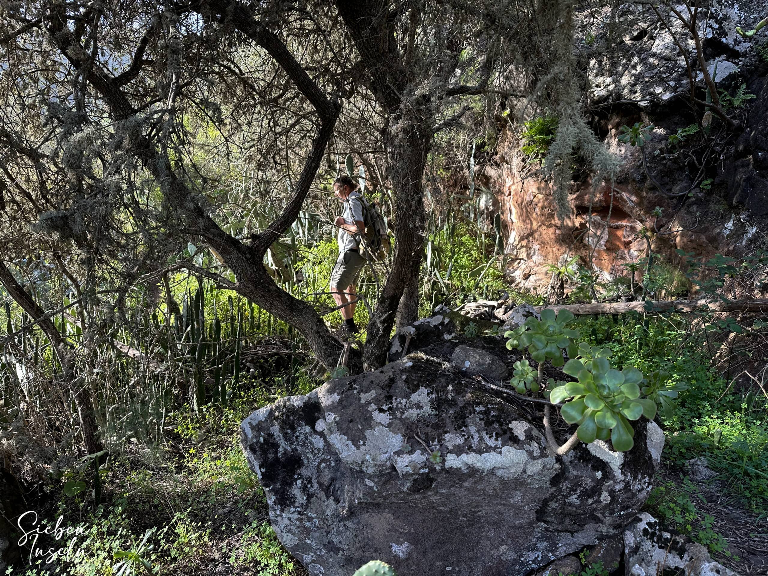 Wanderer auf dem Weg in den Barranco del Agua