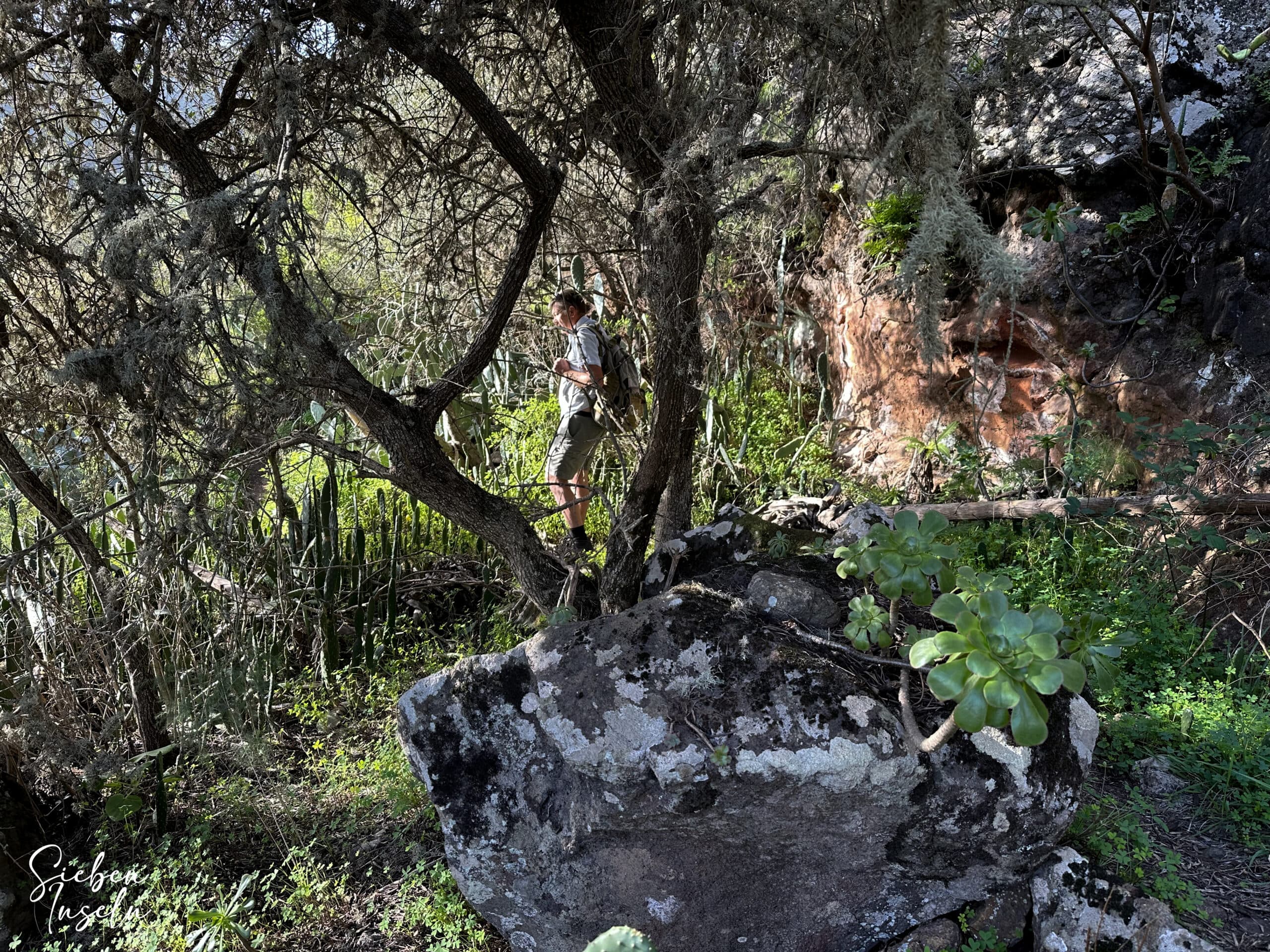 Hiker on the way into the Barranco del Agua
