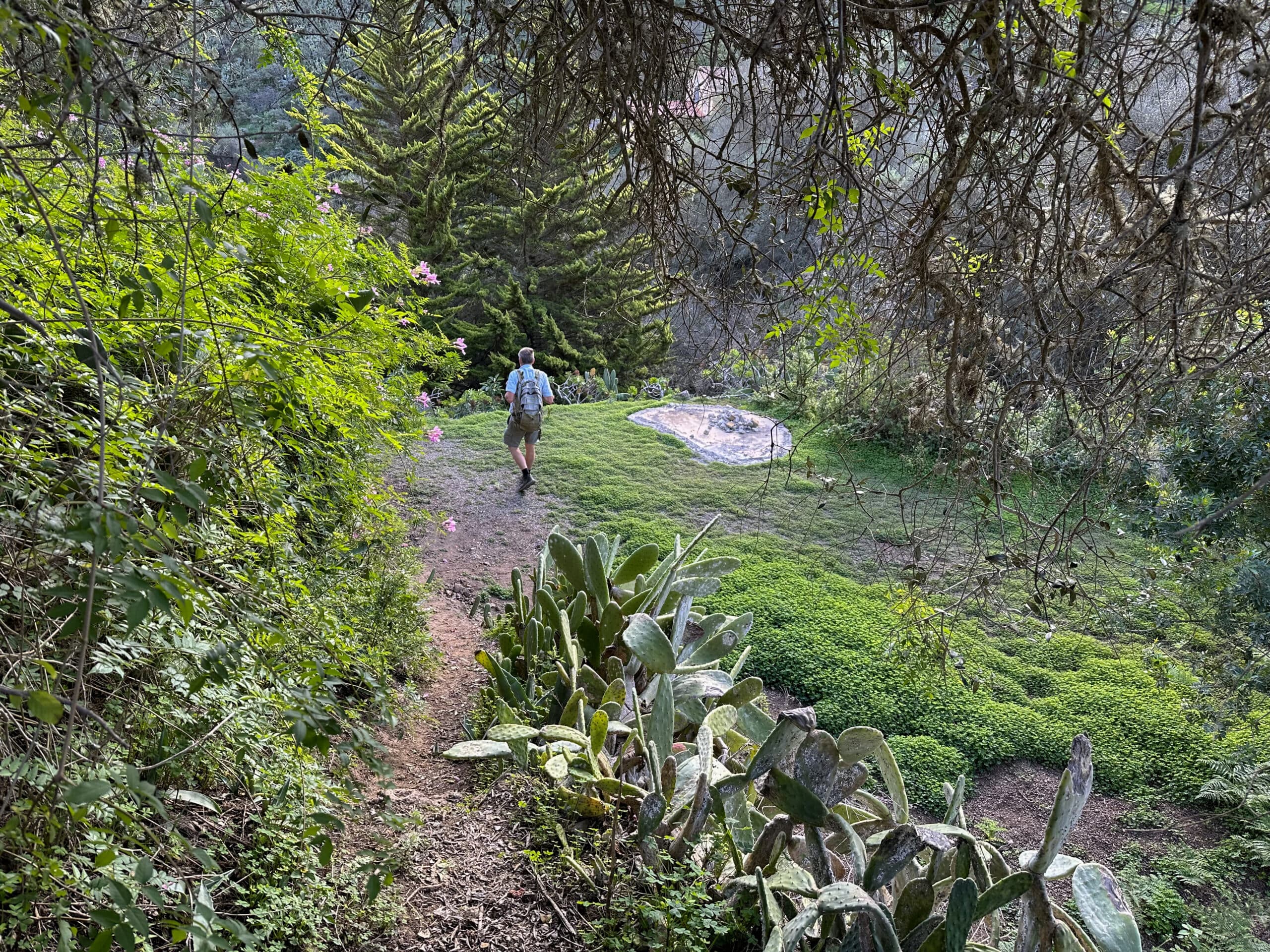 After the steep descent, the hiking trail crosses a small ravine