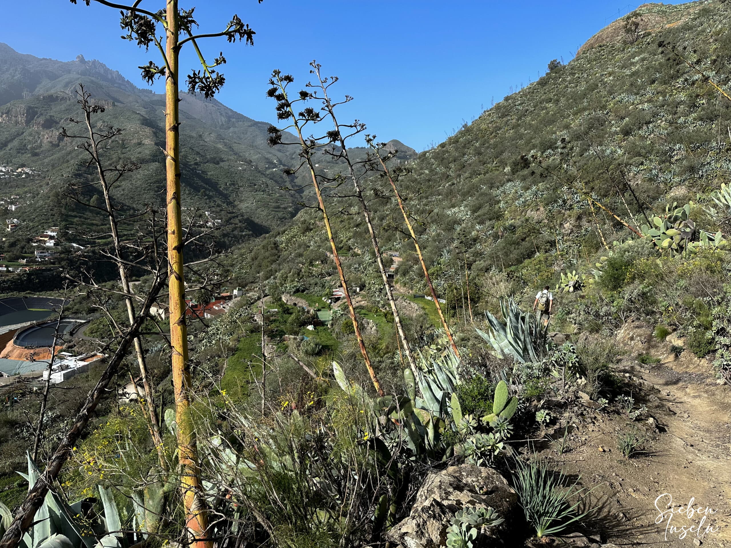 Hiking trail down towards El Helechal
