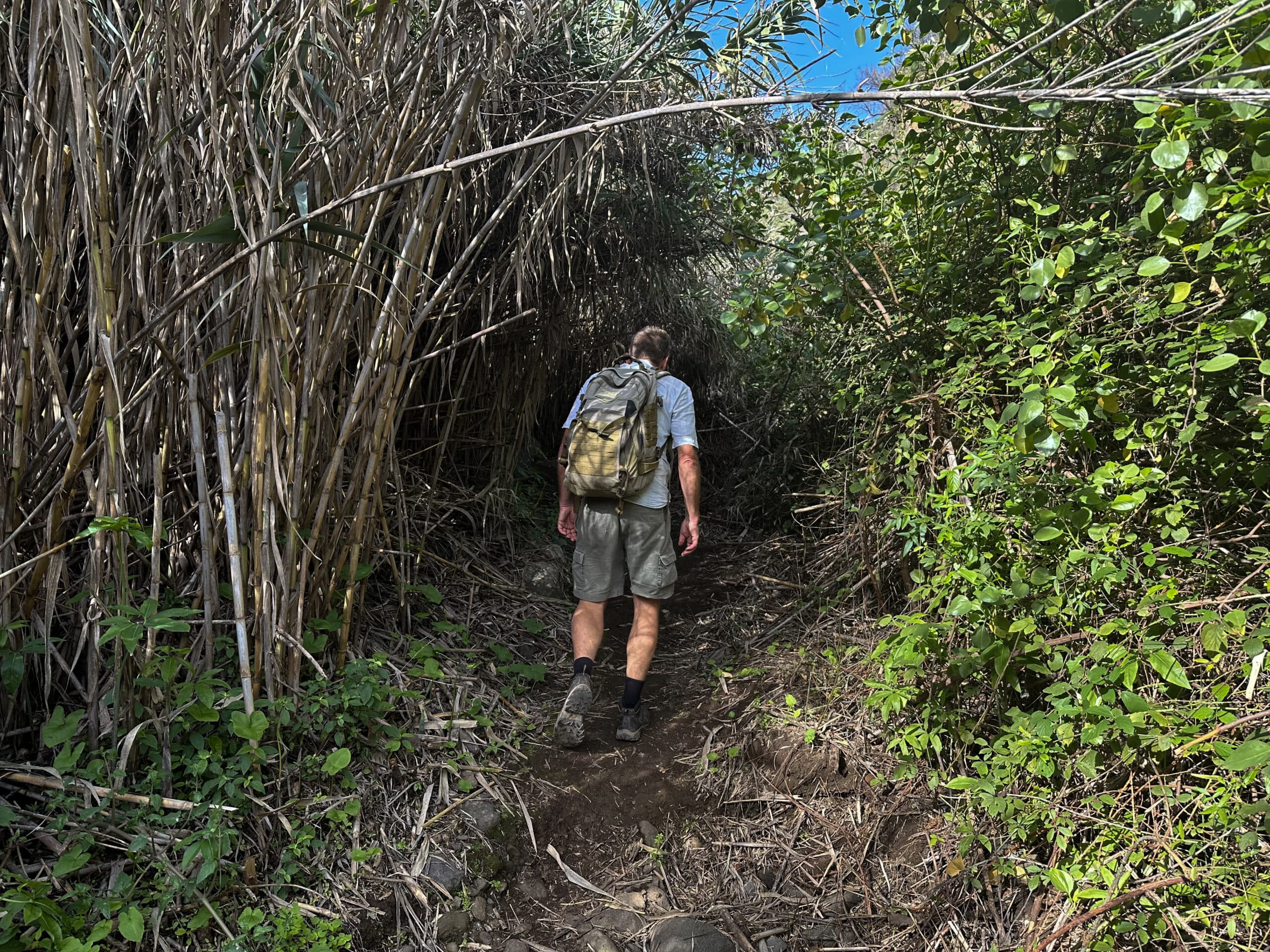 Hiker in the Barranco del Agua