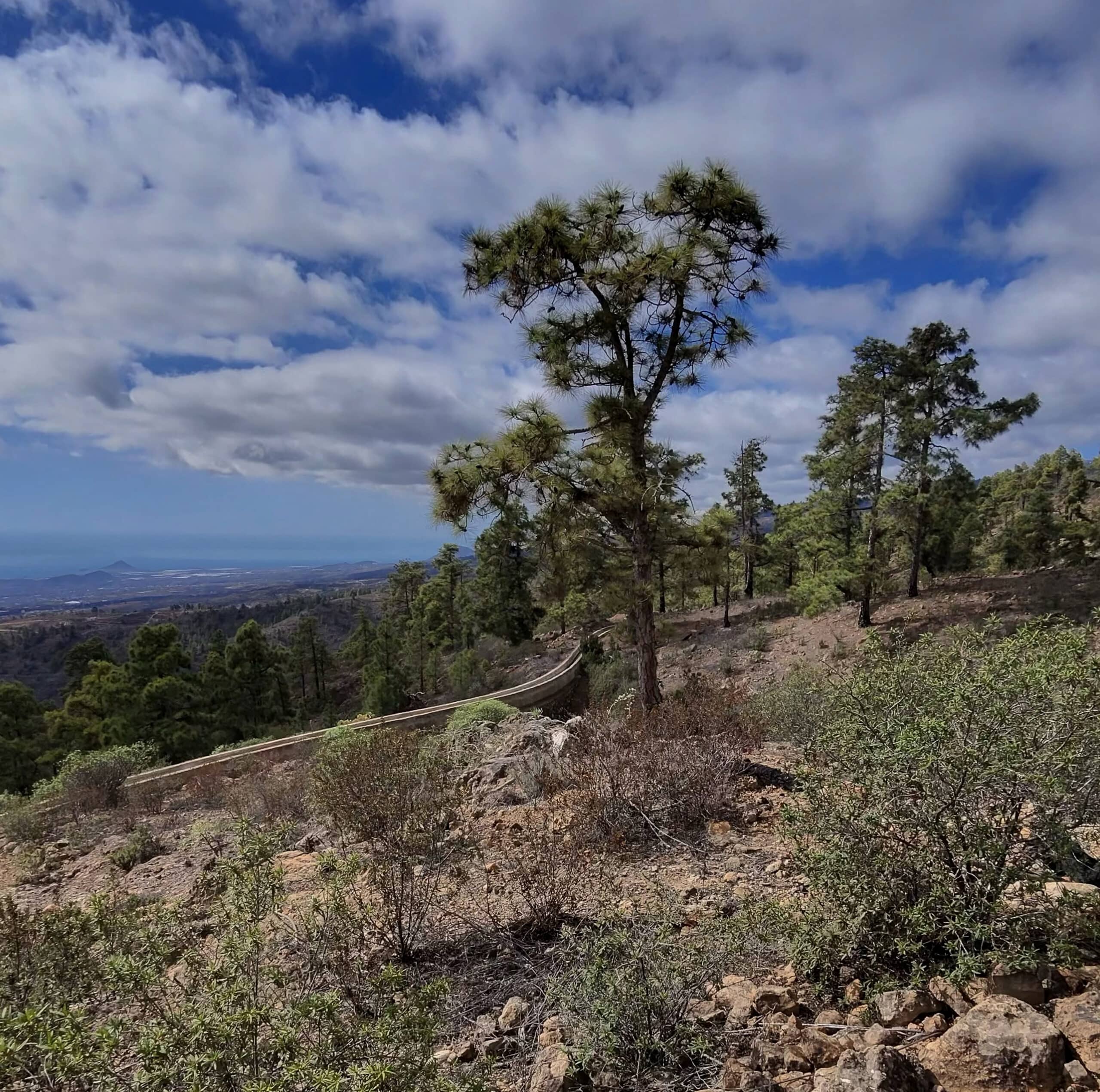 the hiking trail to El Contador crosses a water pipe