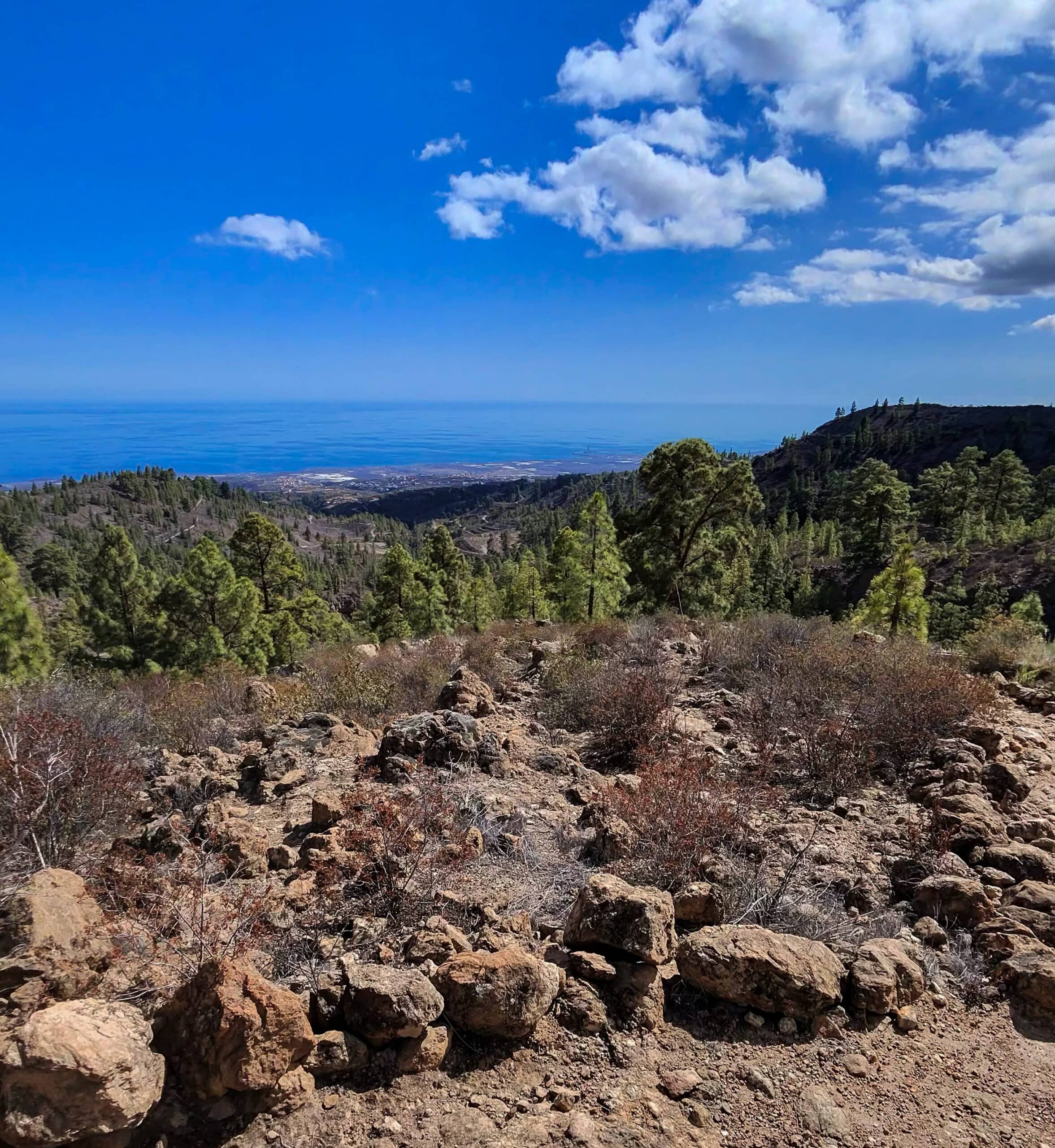 View of the east coast from above