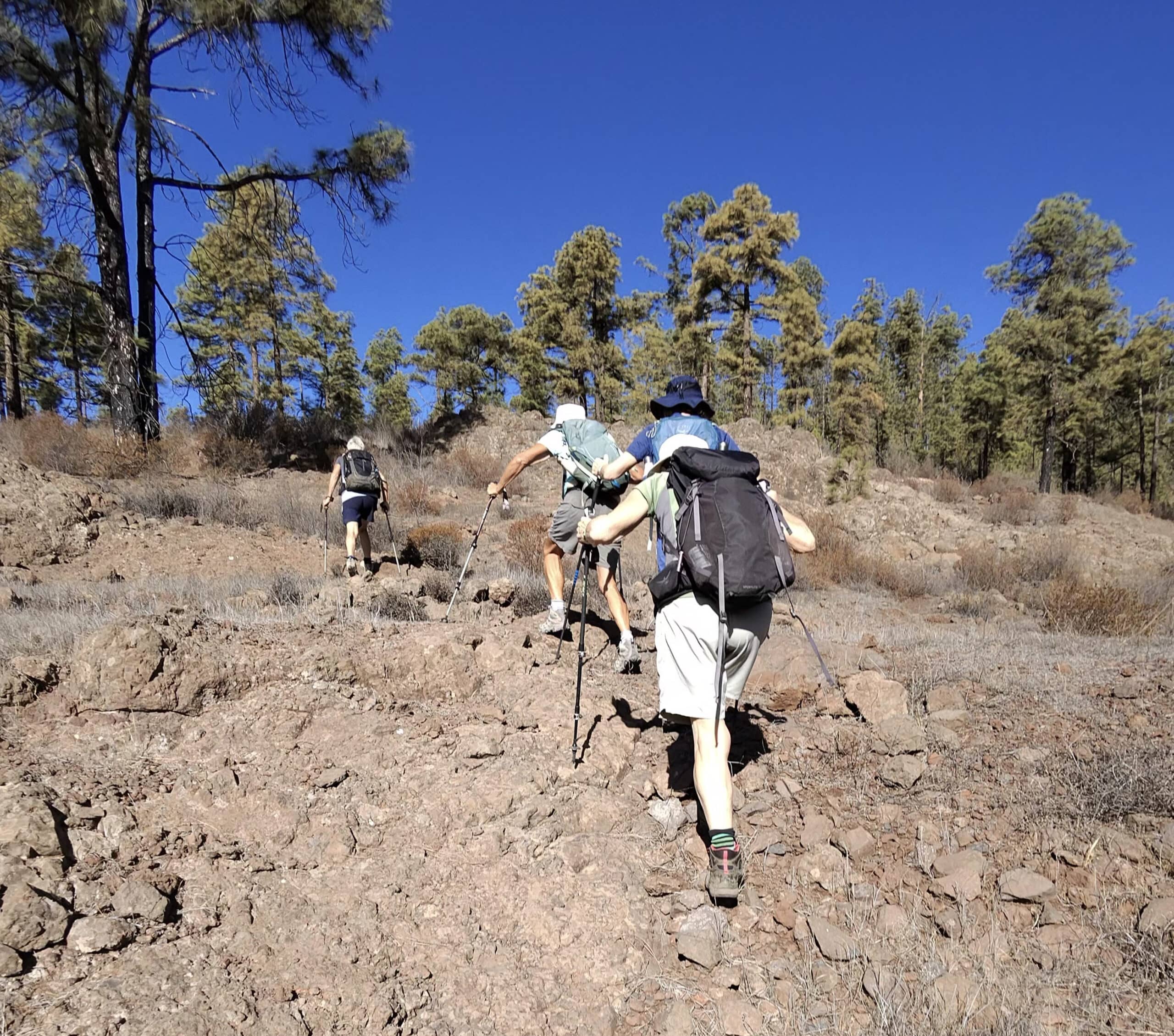 Senderistas en la subida a Trevejos por encima del Barranco