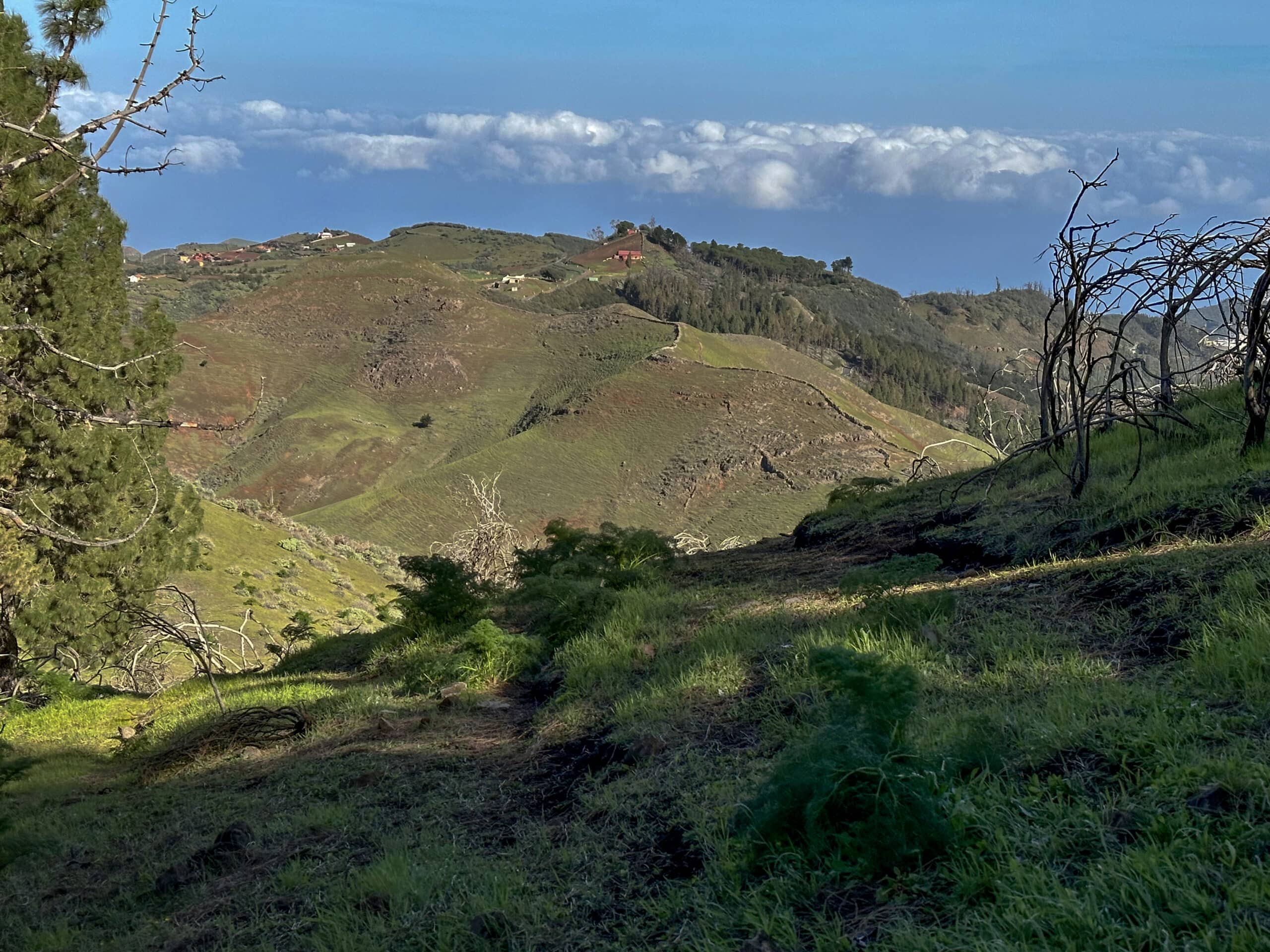 Abstiegsweg Richtung Fontanales durch den Barranco Agua