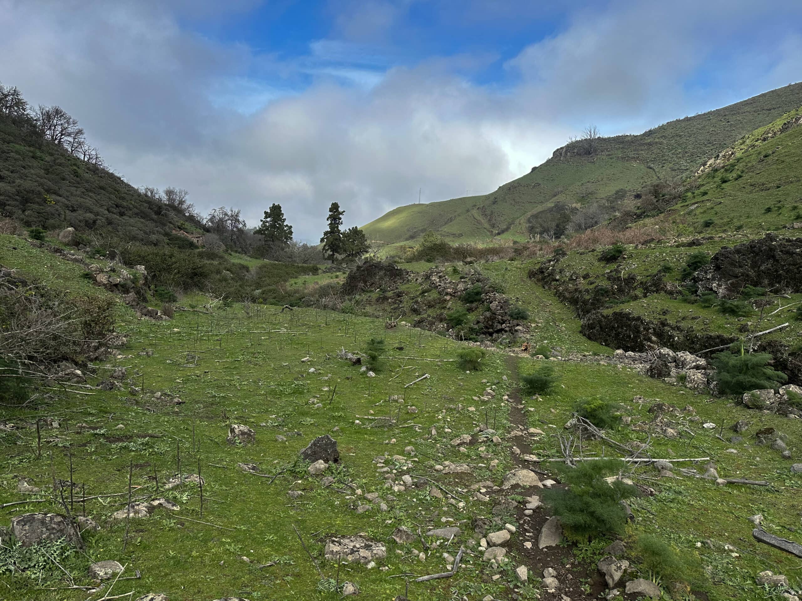 Abstieg durch den grünen Barranco Agua
