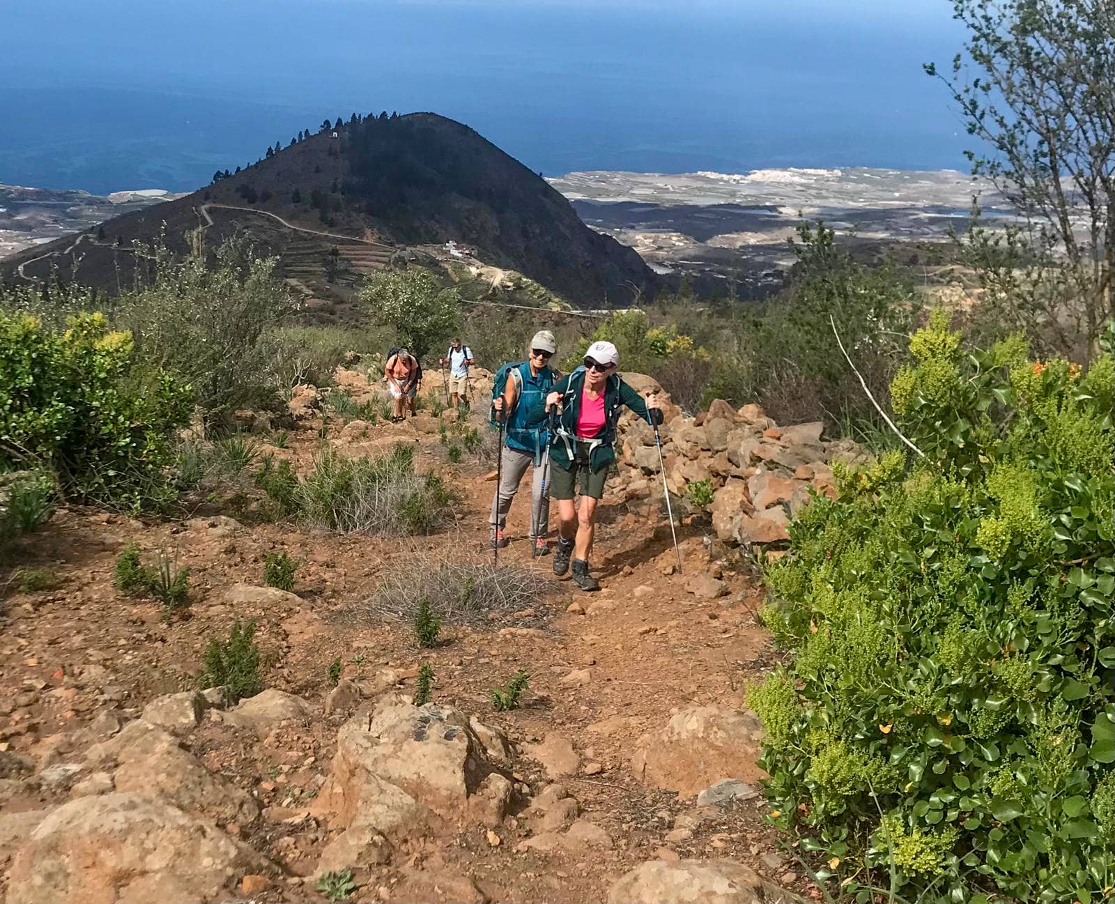 the main hiking trail PR TF 70.2 via Las Fuentes - on this hike the descent trail - on the shortcut trail the ascent trail
