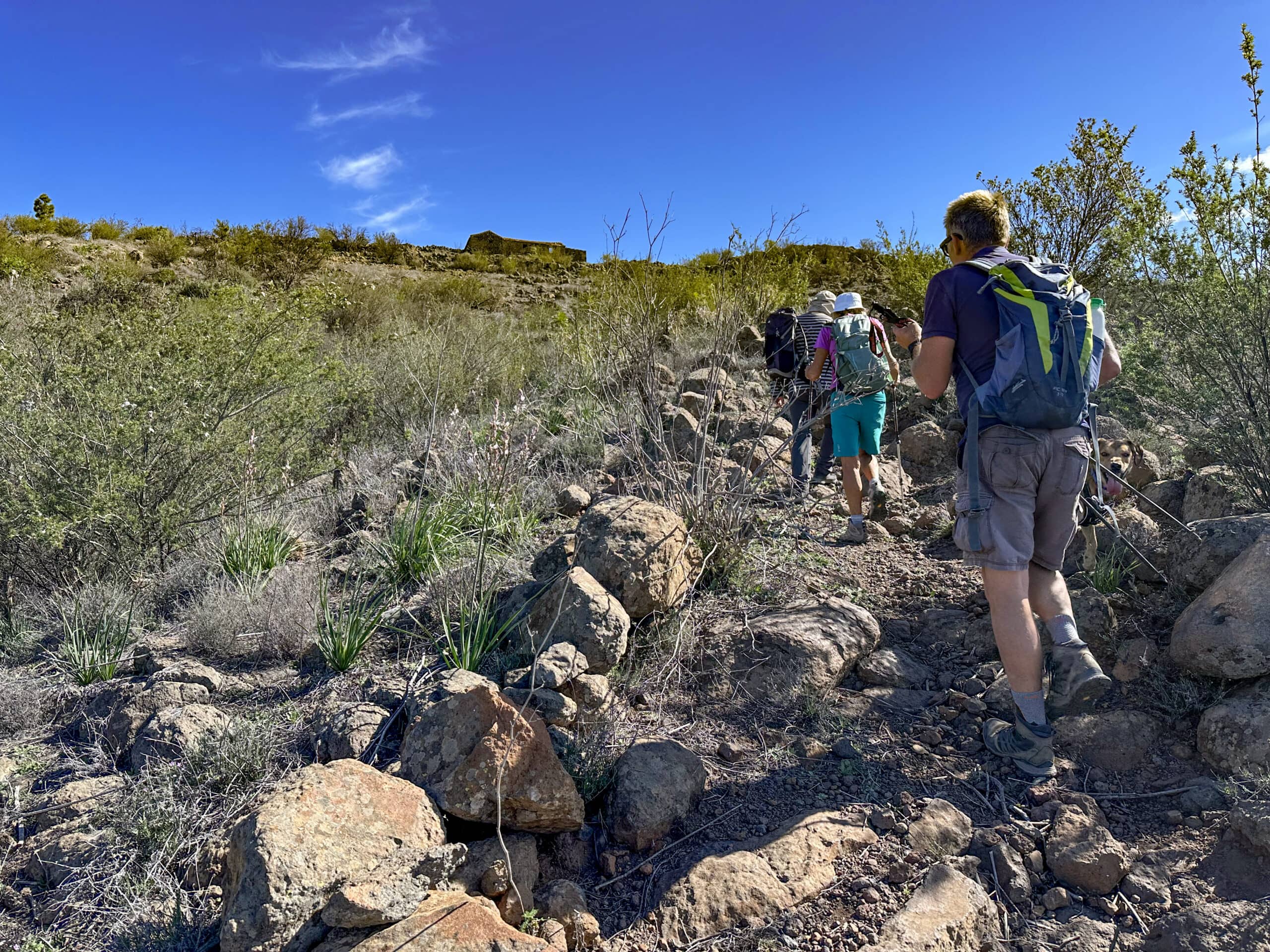 Hikers on the ascent path above Vera de Erques below Pino Redondo