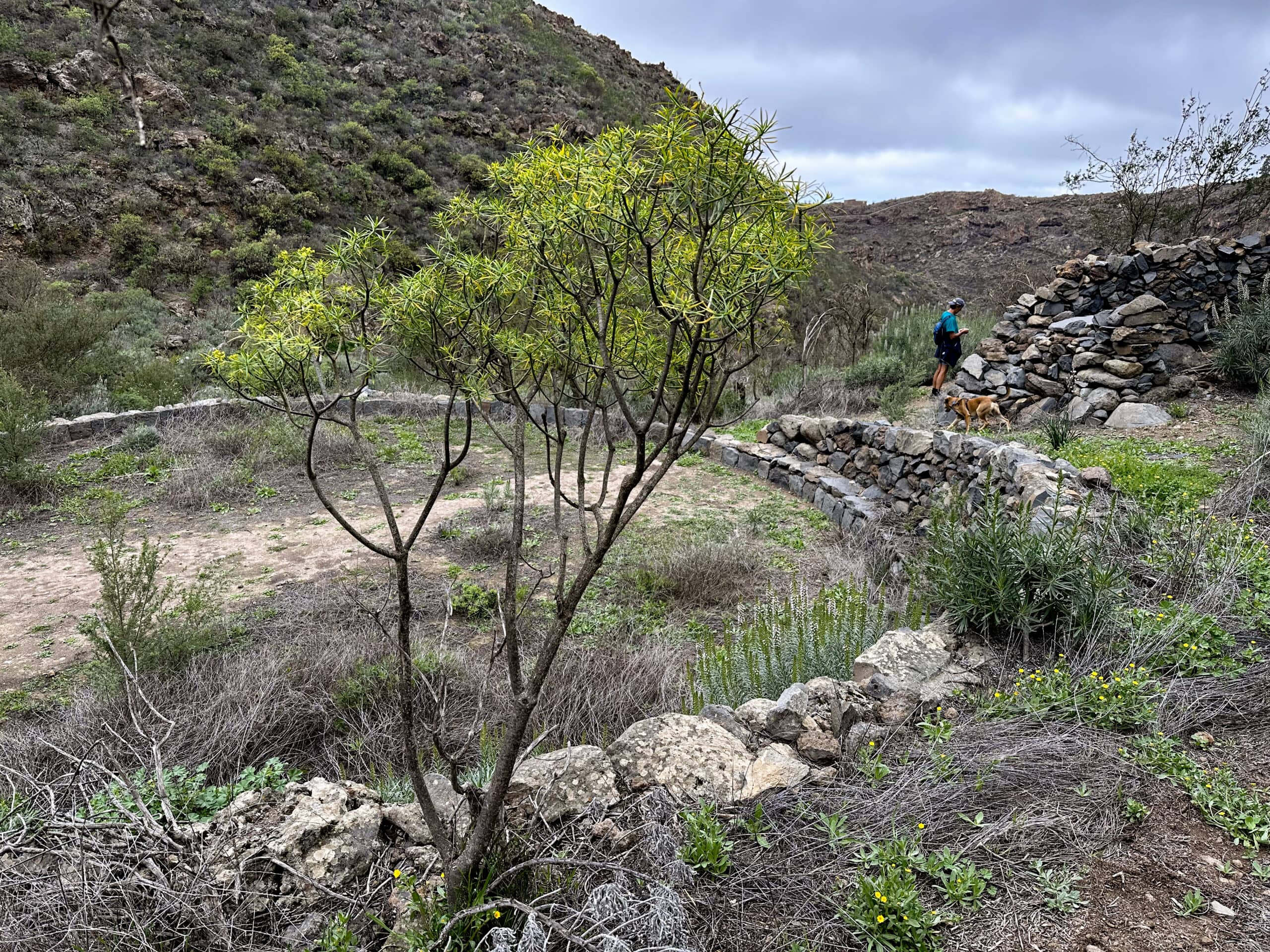 en el Barranco Niágara - era y cuevas