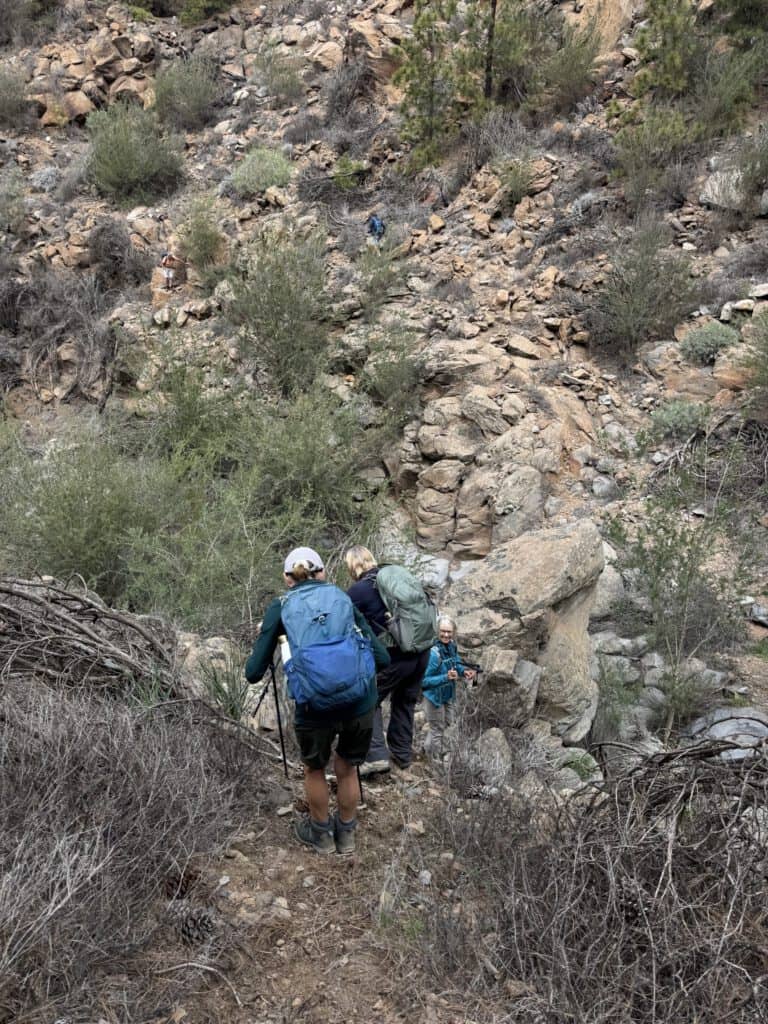Here, the steep descent path leads down into the Barranco, which you can use to shorten the hike - something for the adventurous