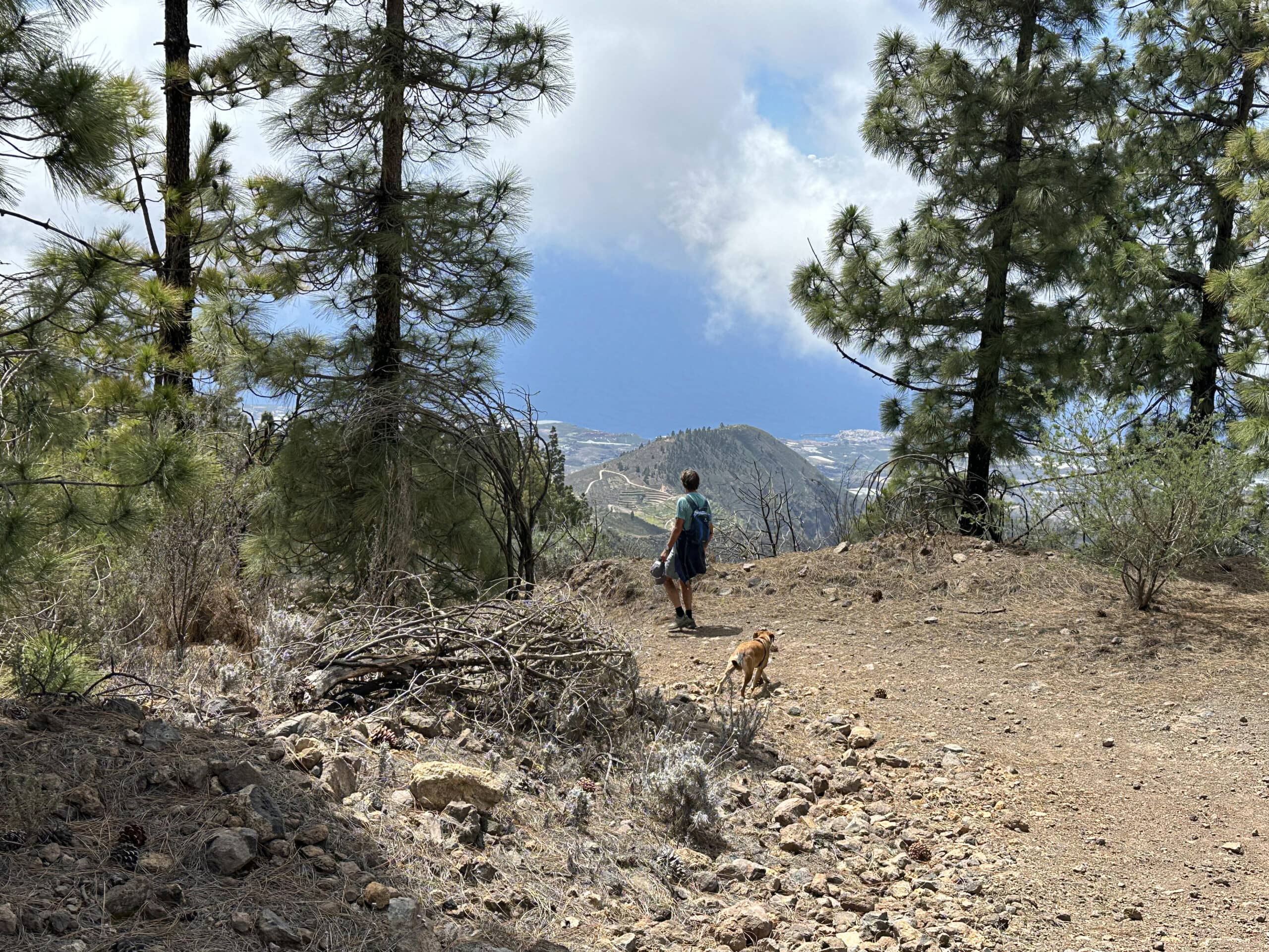 Senderista en la senda de descenso al Caserío de las Fuentes