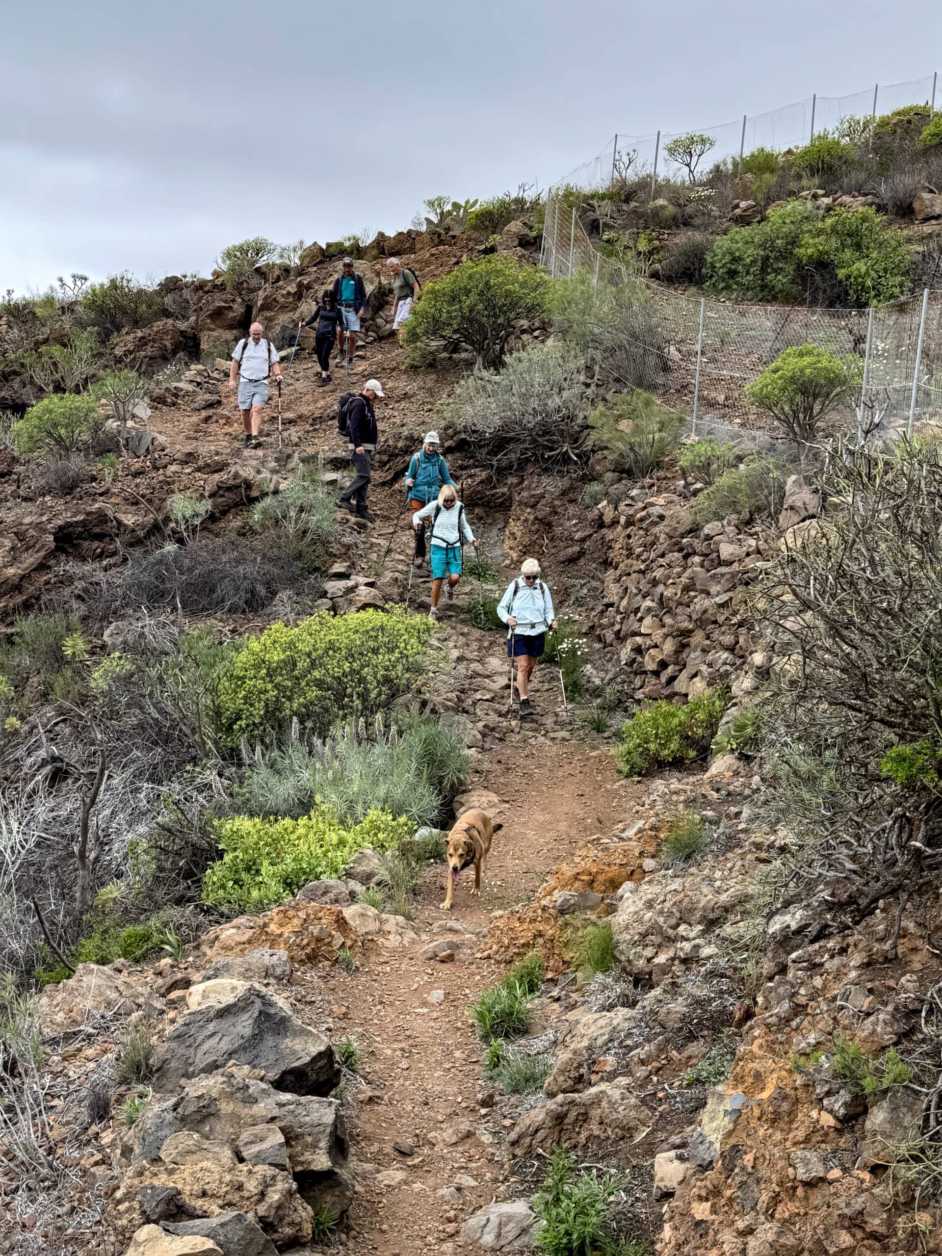Senderistas en el sendero hacia el Caserío de las Fuentes en el PR TF-69