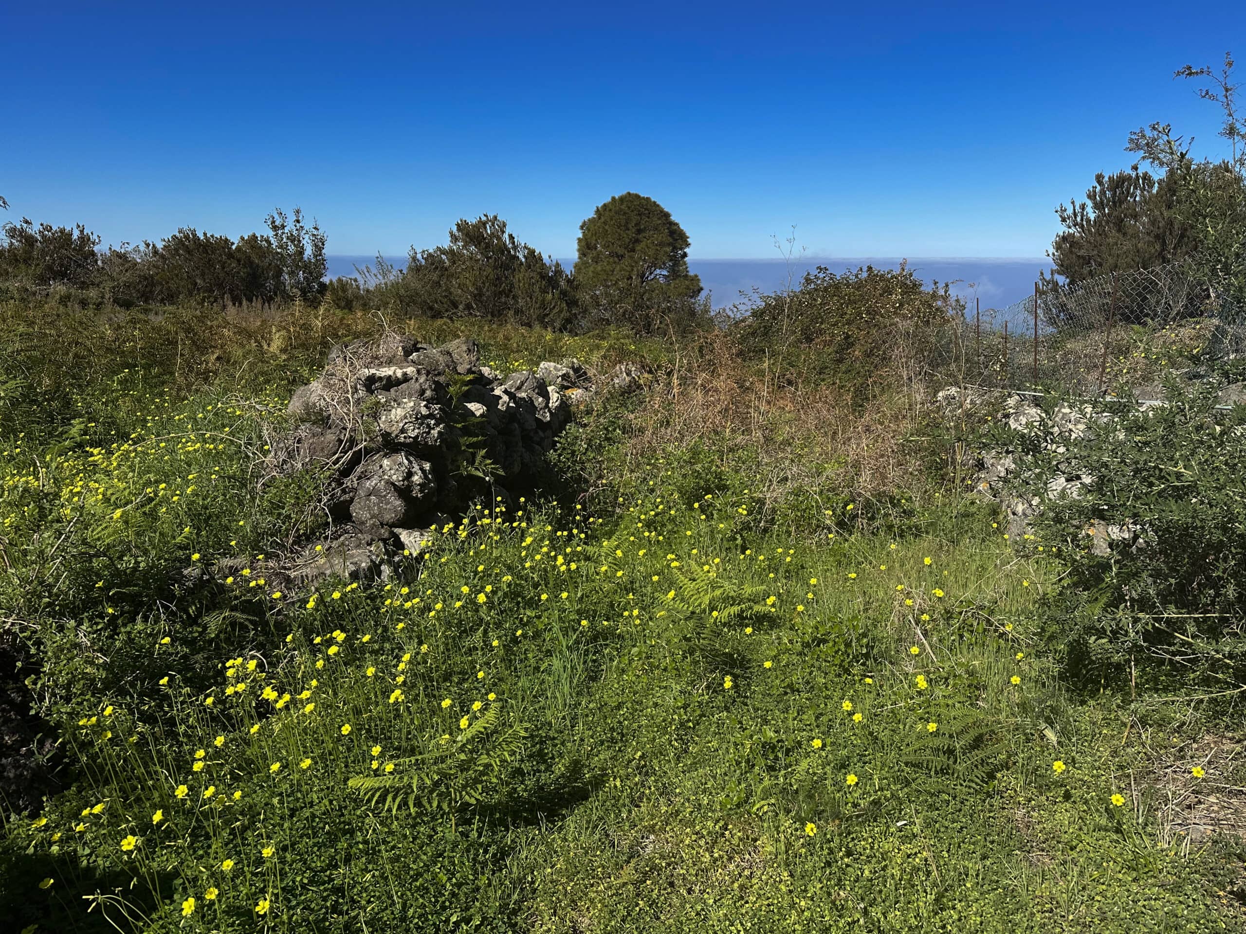 Pequeño desvío en busca de una ruta de senderismo por prados y campos debajo de La Montañeta