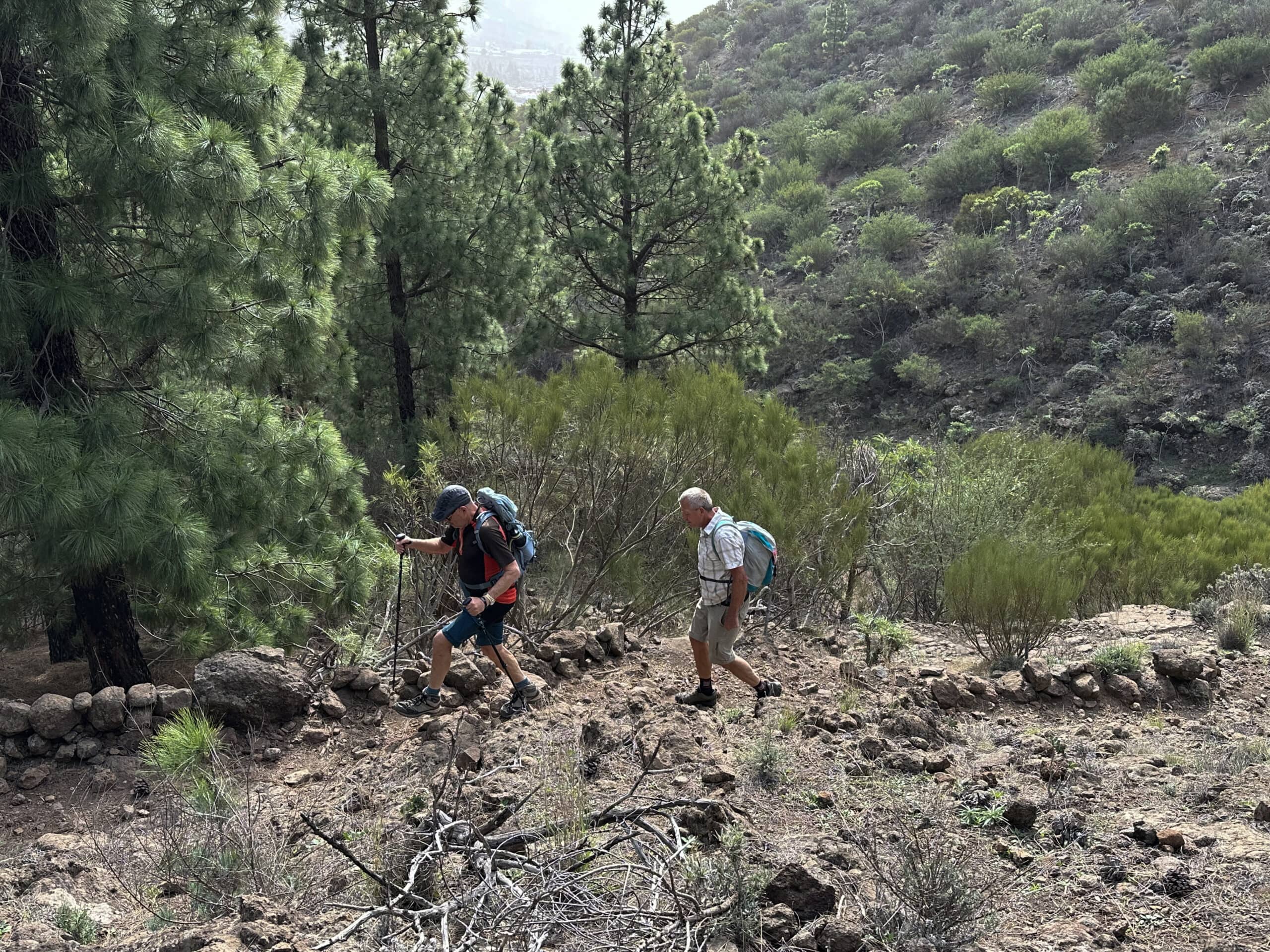 Hikers on the ascent path via Santiago del Teide to Degollada de Mesa
