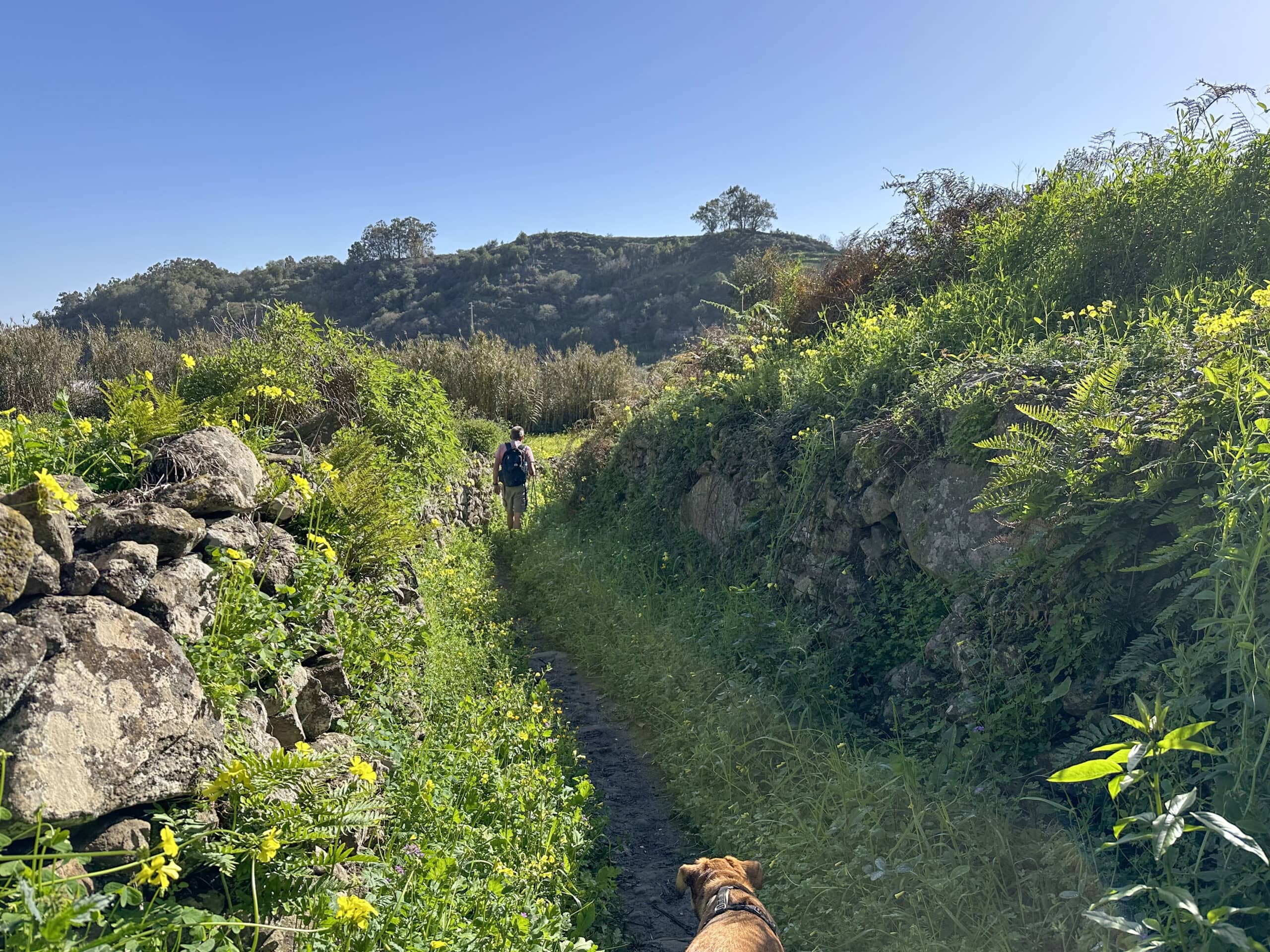 Wanderweg hinter der Querung der GC-21 auf dem Weg zur Straße Calle Parroco in Valleseco
