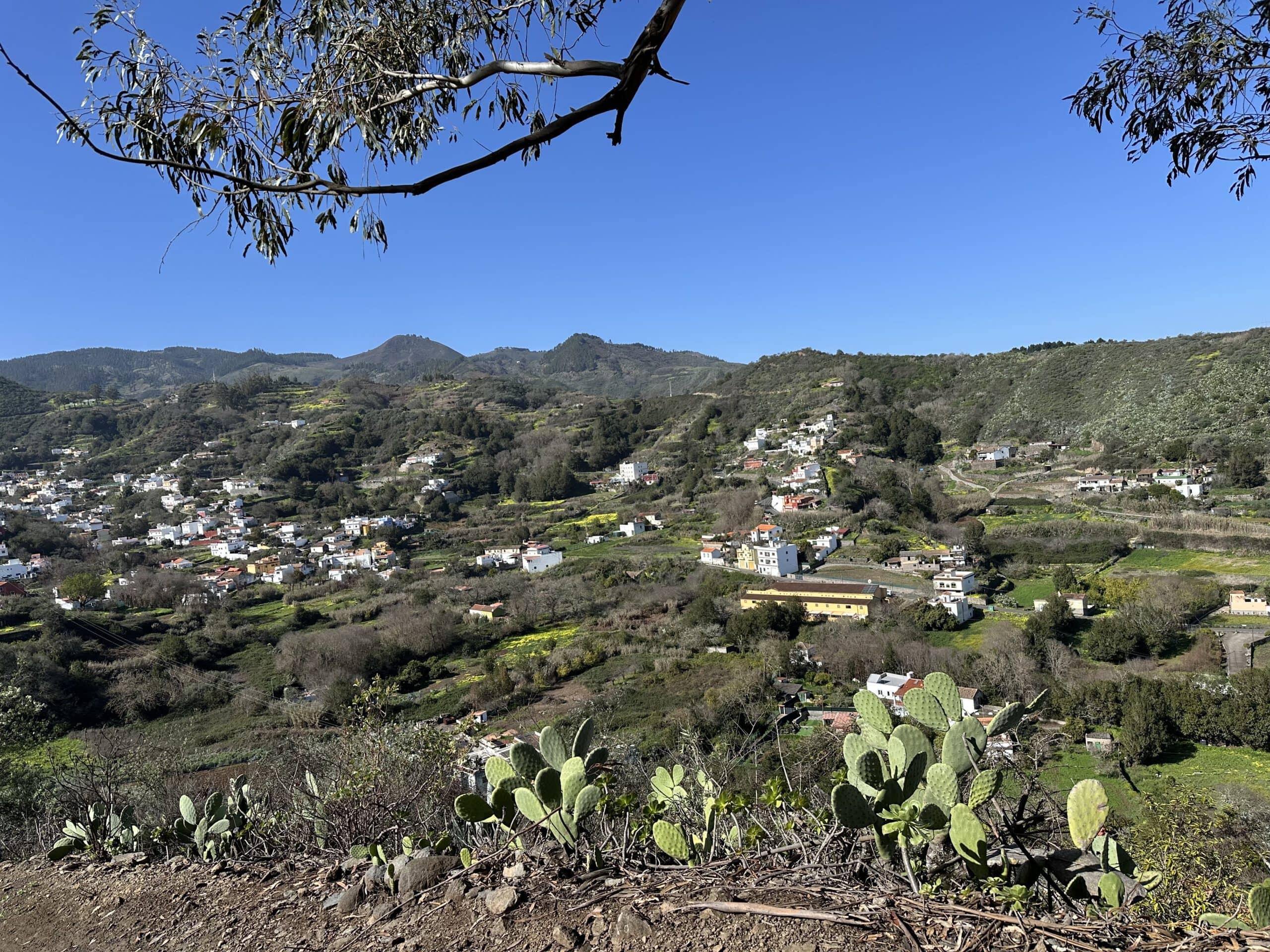 Vista desde el Lomo de la Rosa hacia Valleseco