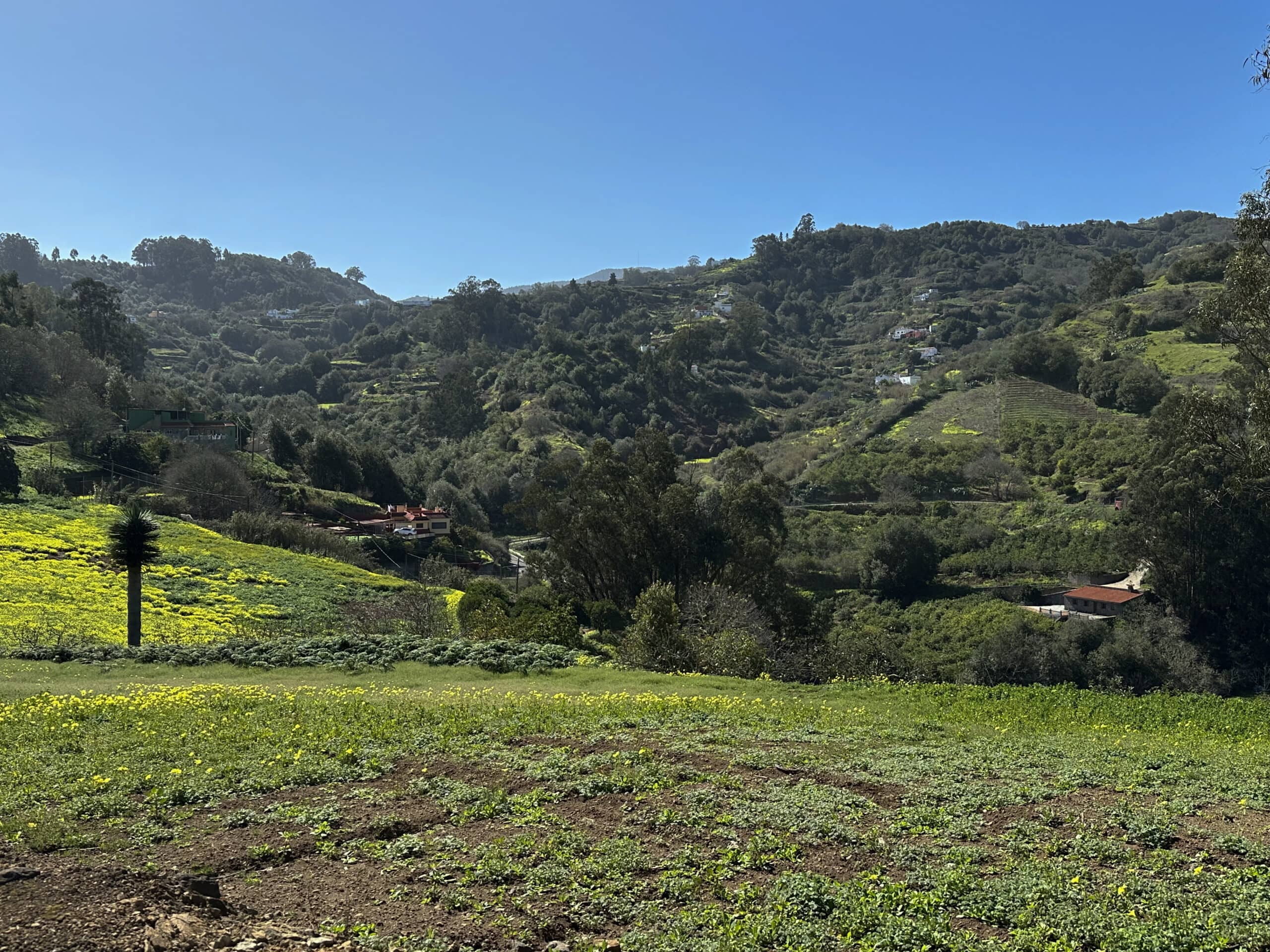 Vista desde la ruta de senderismo sobre el verde norte de Gran Canaria