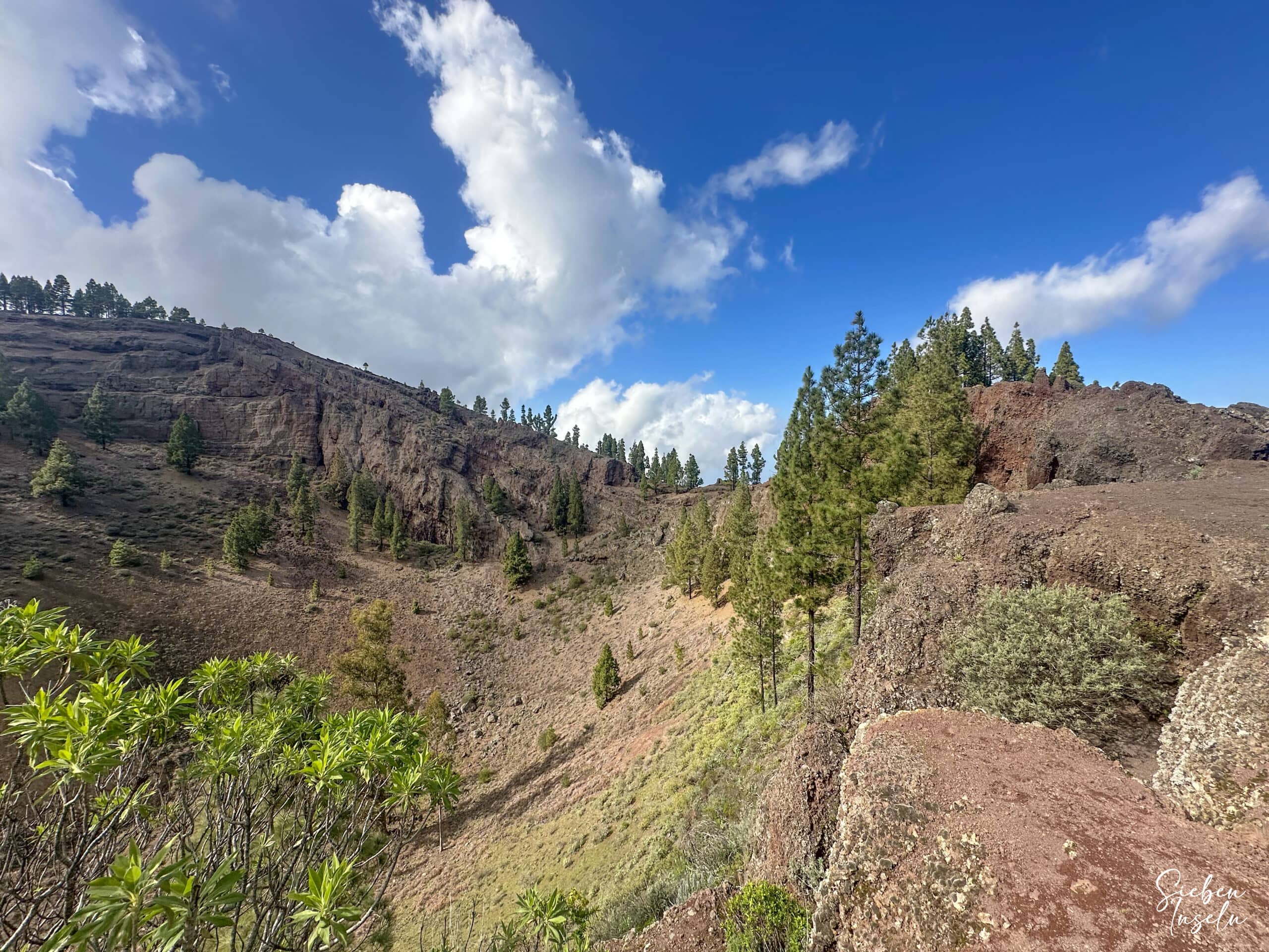 Vista desde la ruta de senderismo hacia el Barranco de la Virgen