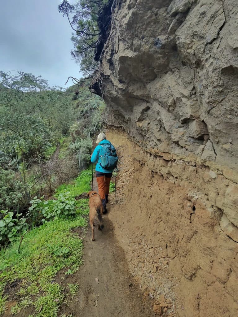 On the hiking trail above Valsendero up to the ridge