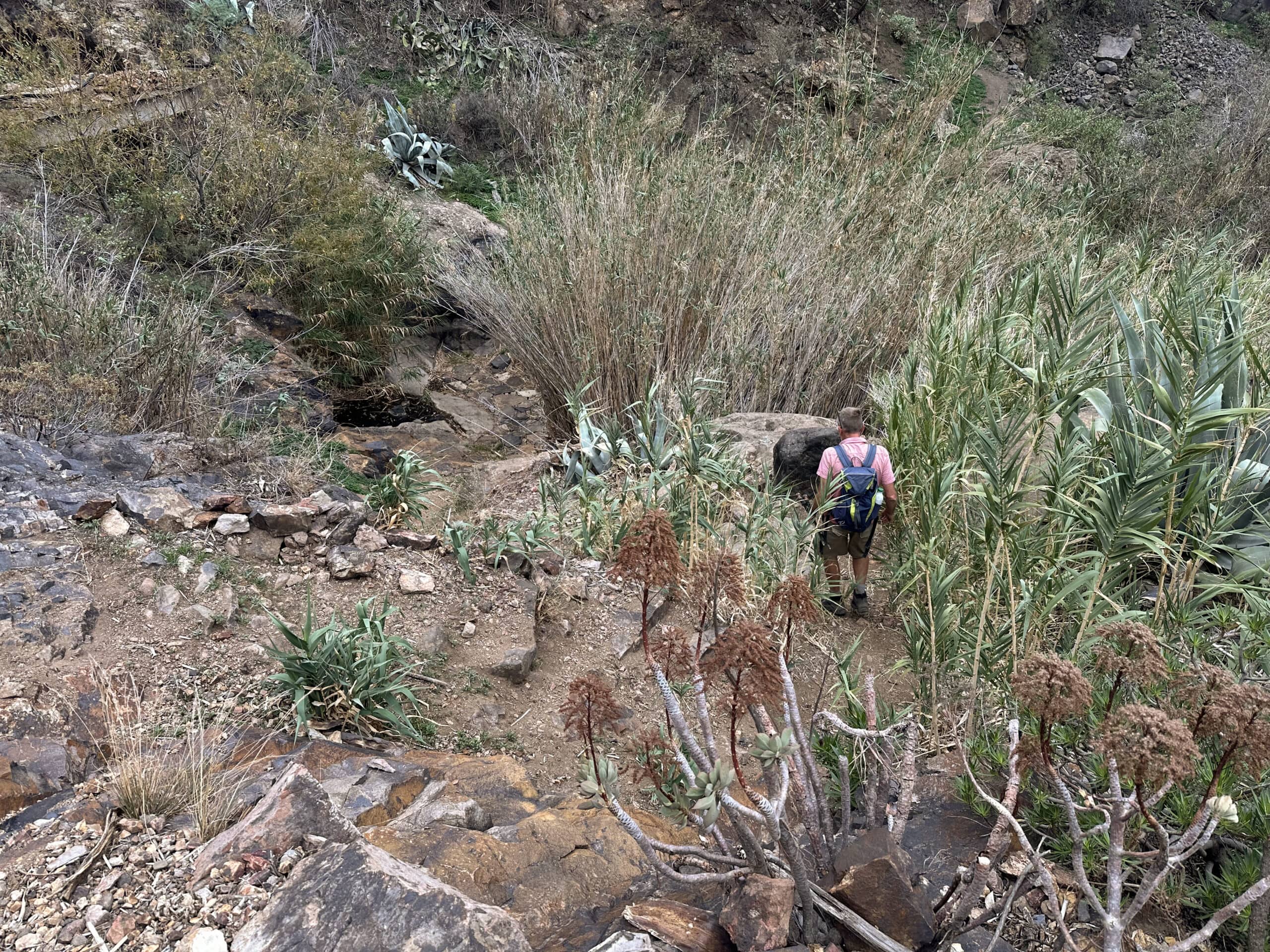 Crossing the Barranco stream in the Tejeda gorge