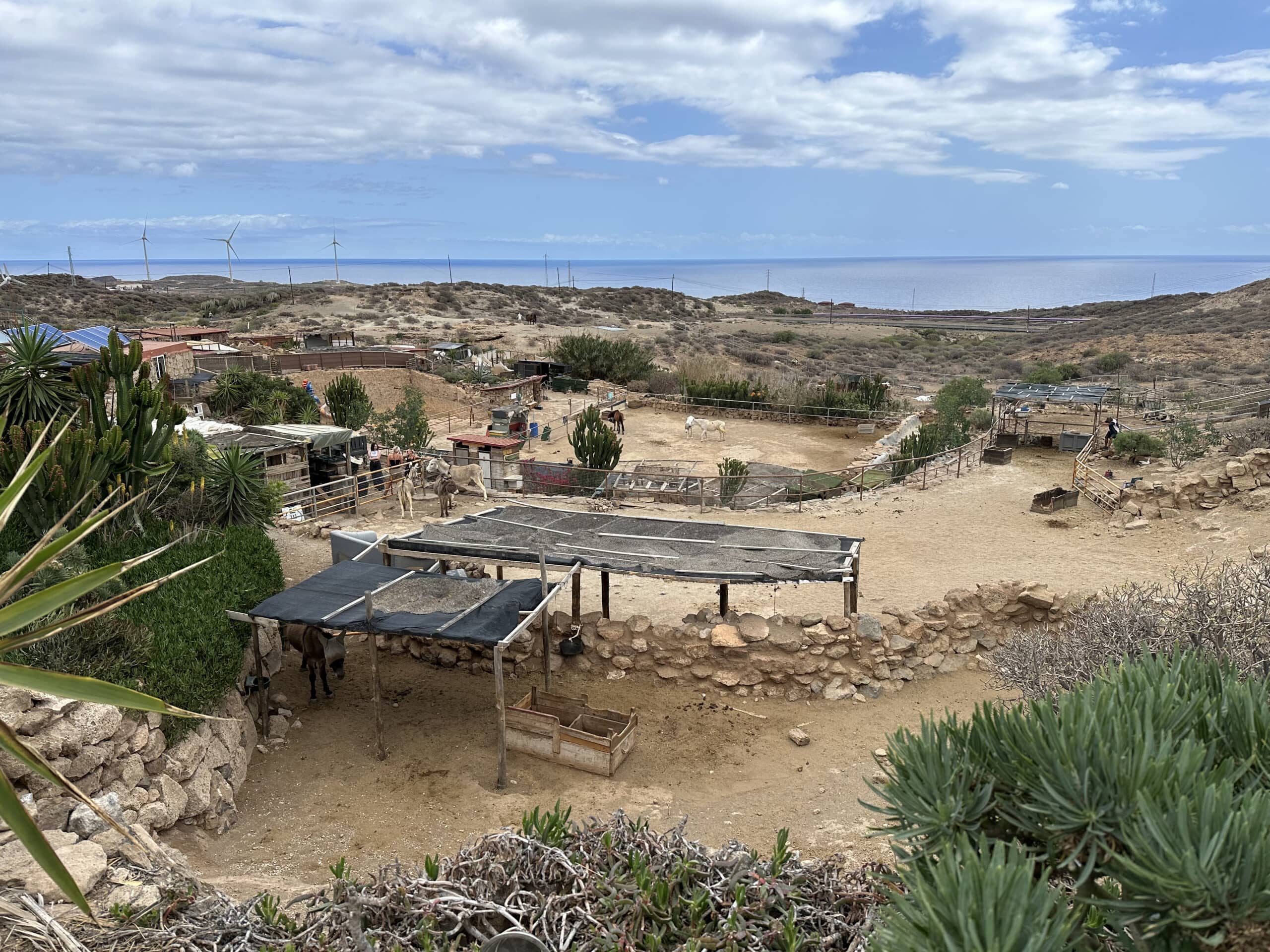 Tenerife Horse Rescue in der Nähe des Arco de Tajao