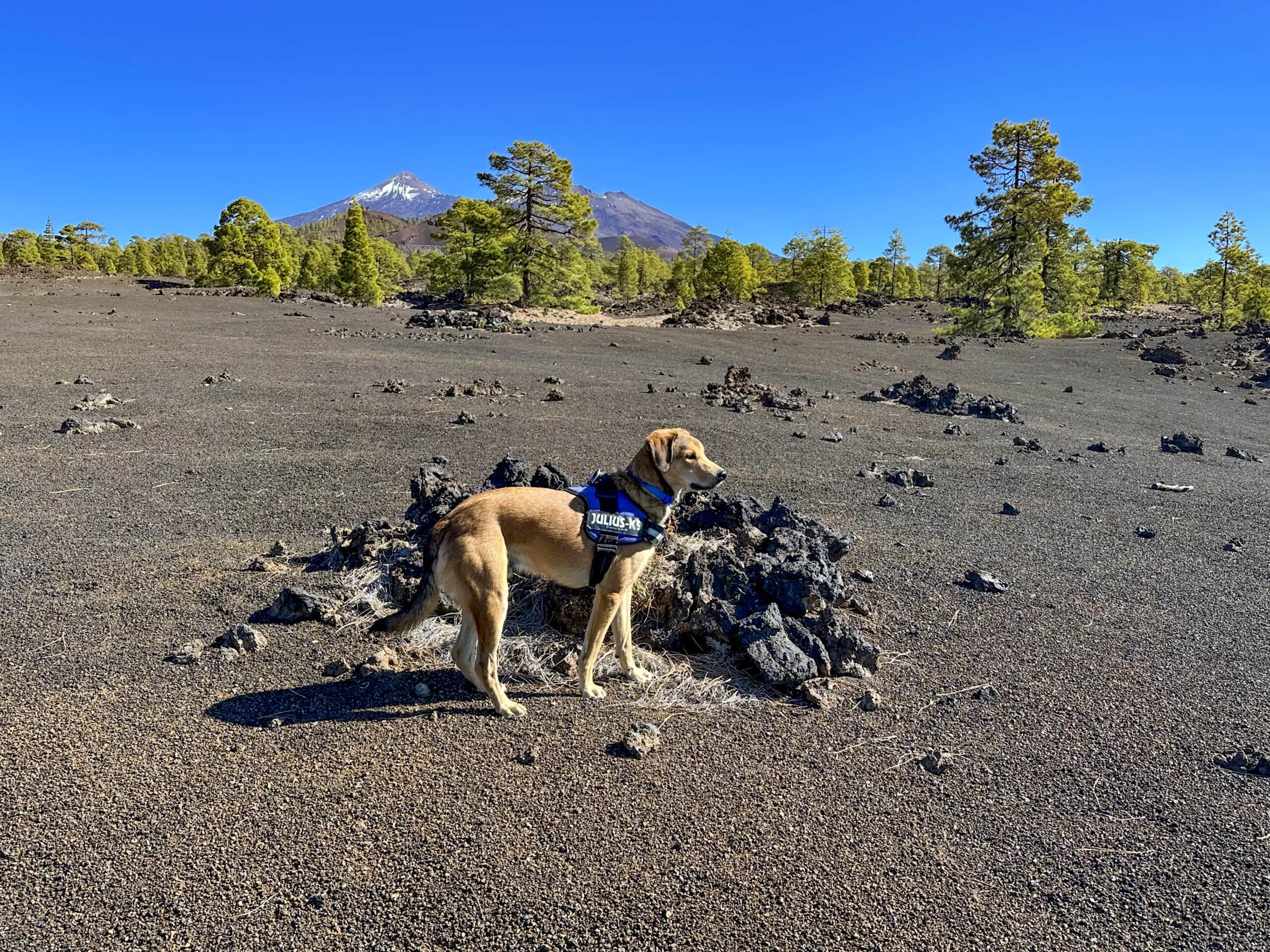 Artikelzusammenfassung und große Auswahl an GPS Wander-Tracks