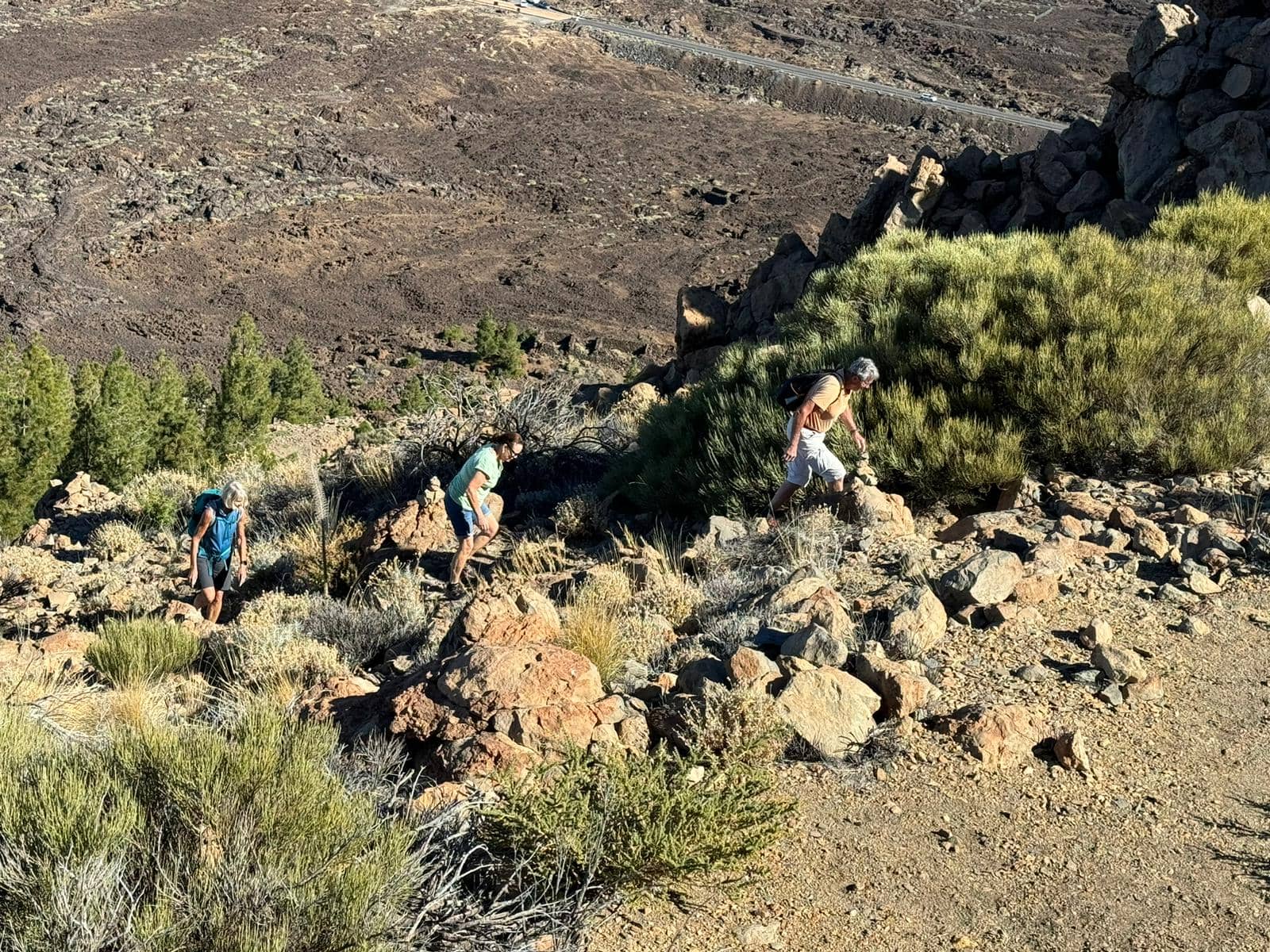 Senderistas en el sendero que atraviesa el bosque en la parte trasera de la Montaña el Cedro