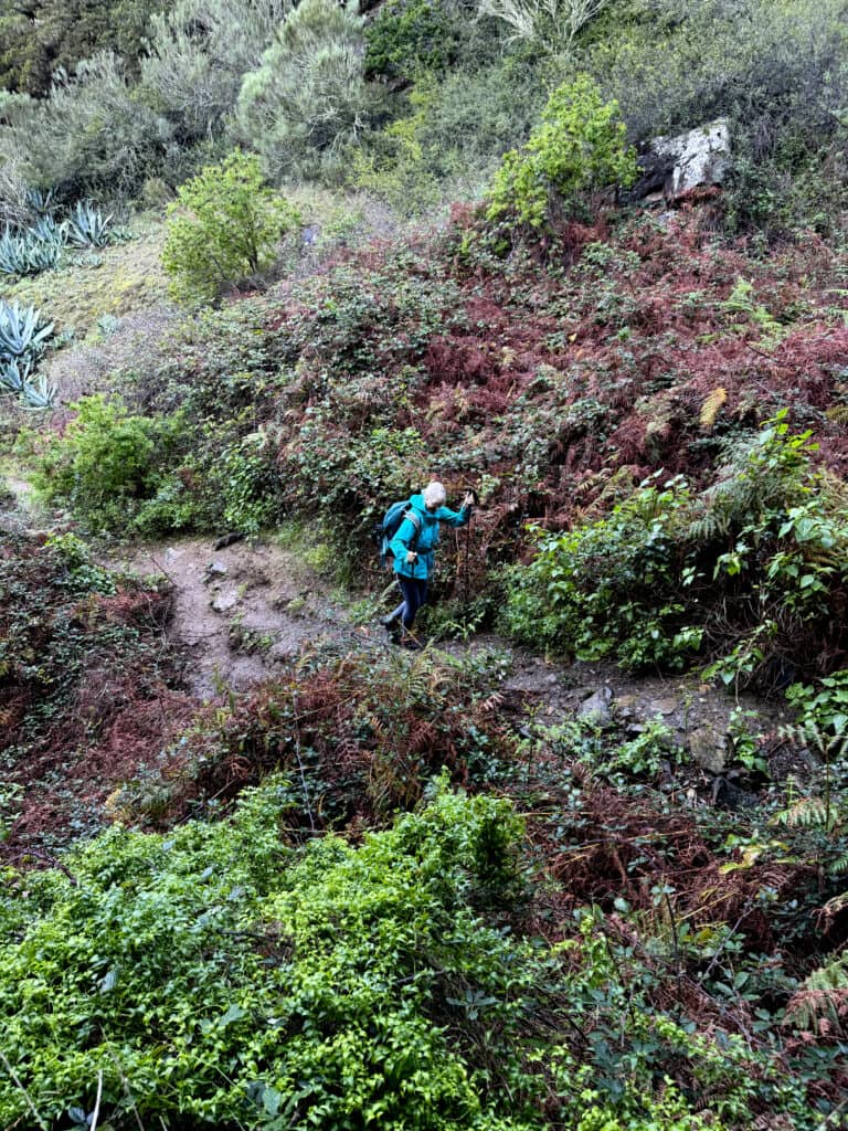 Camino de ascenso por los barrancos por encima de Tazo en dirección a Epina