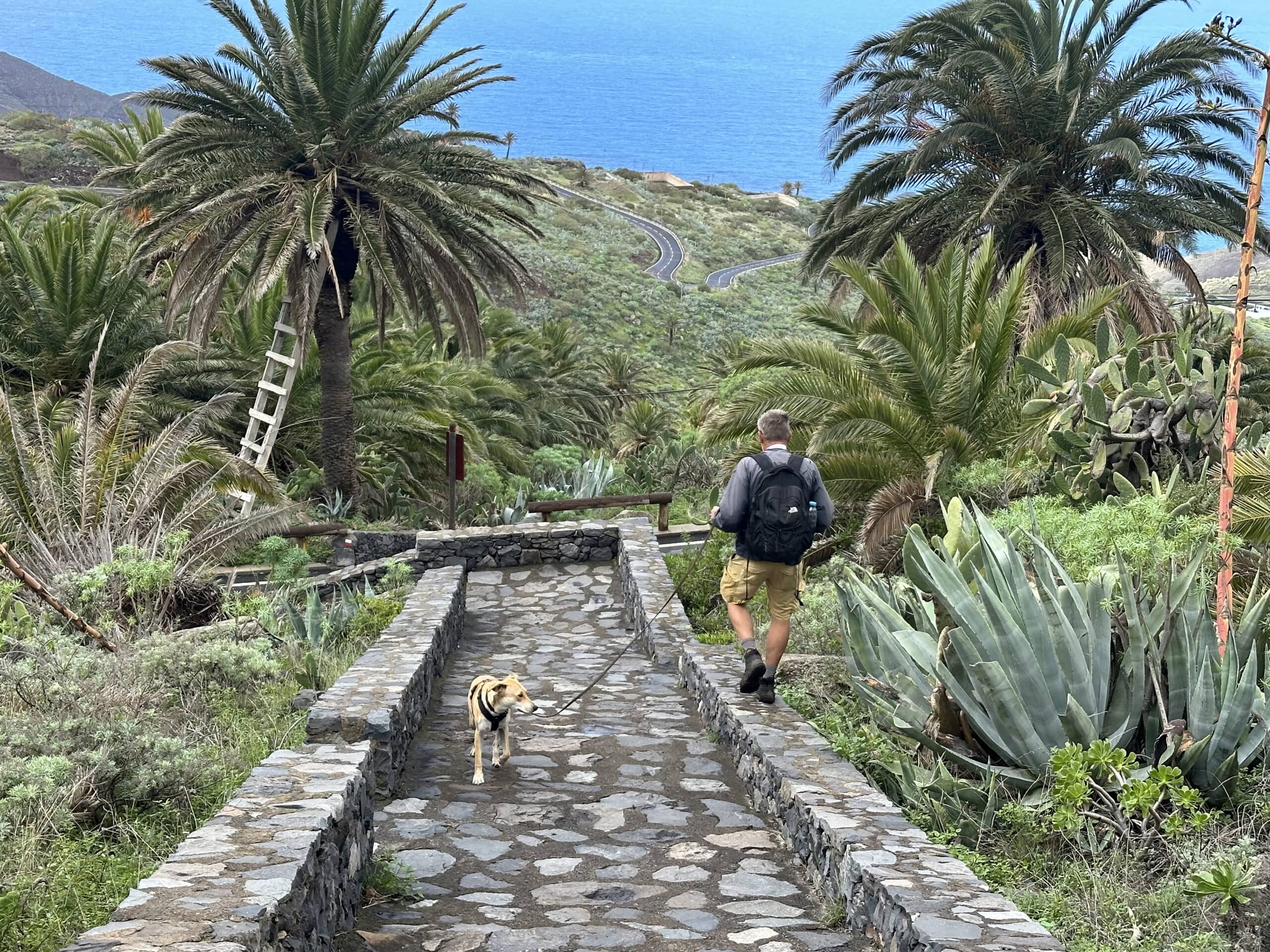 Sendero que desciende hacia Alojera con cruces de la CV-16