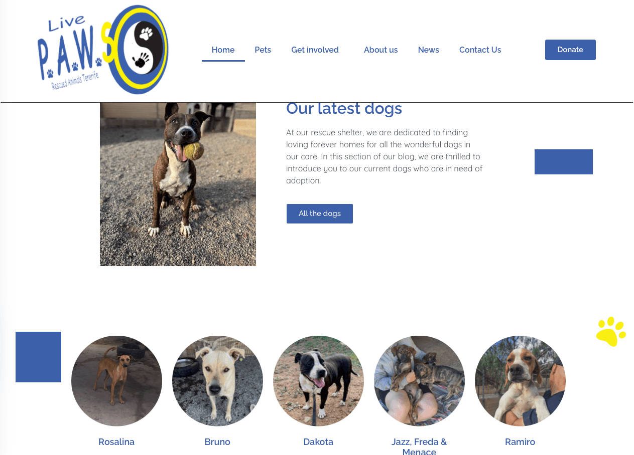 Live Paws Tenerife