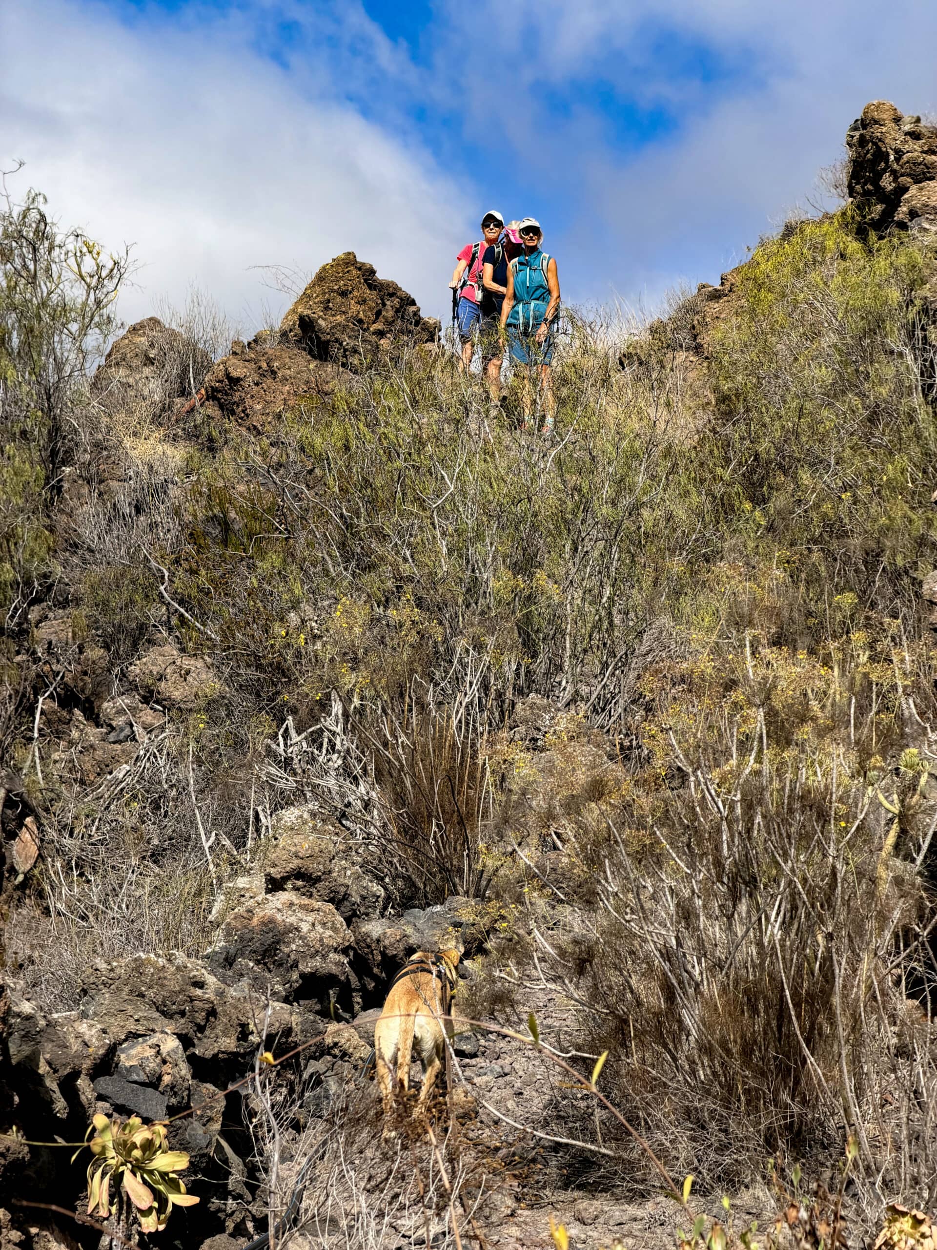Wanderinnen auf dem Wanderweg hinter Chiguergue Richtung Gúia de Isora